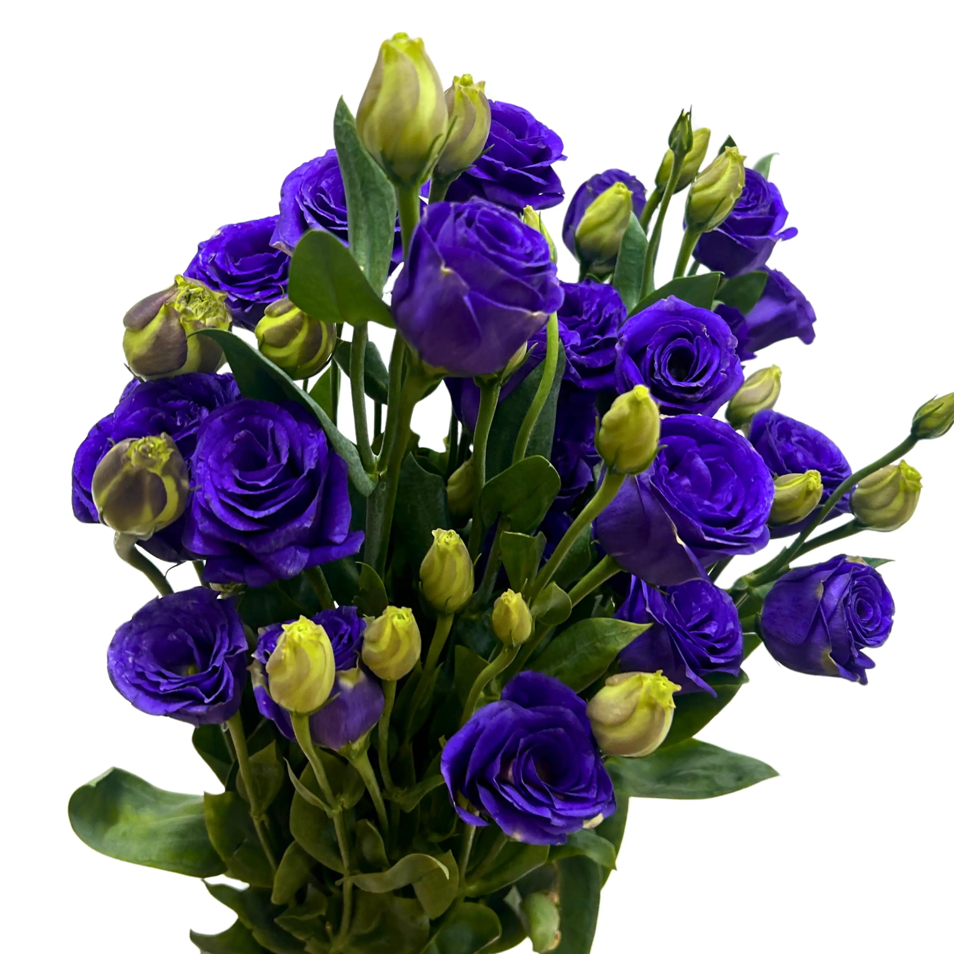 Eustoma Purple Bunch