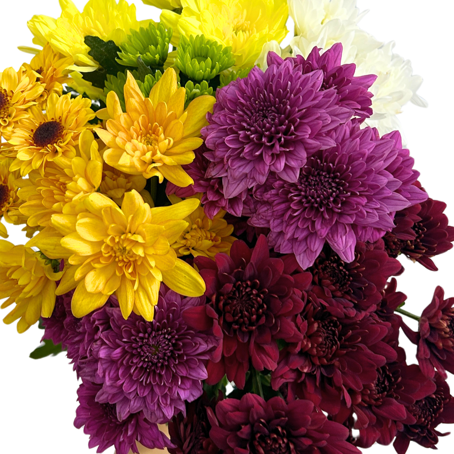 Buy Bouquet 001 Online Malaysia – Fresh Cut Flowers