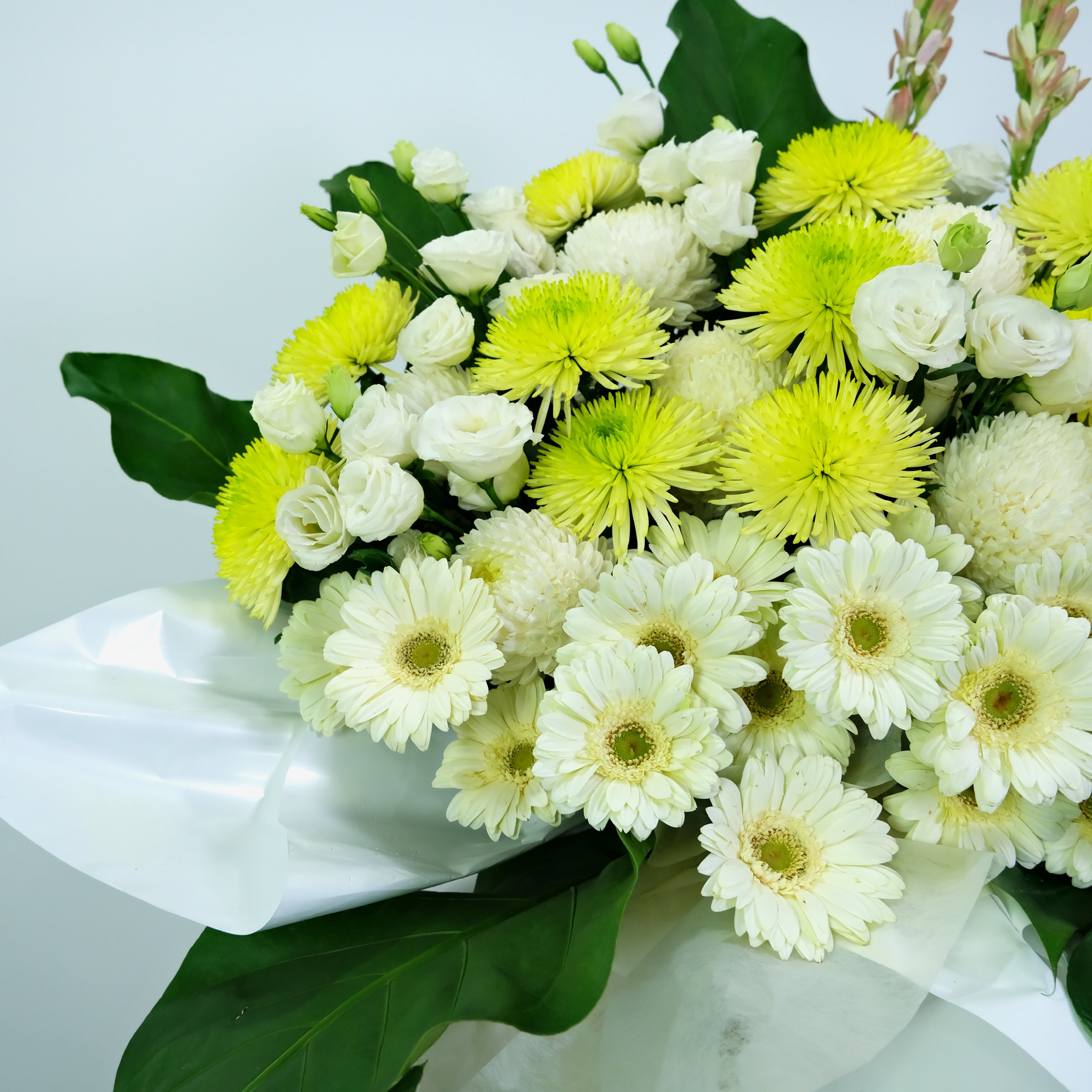 Bouquet of white and yellow flowers with green leaves on a light background