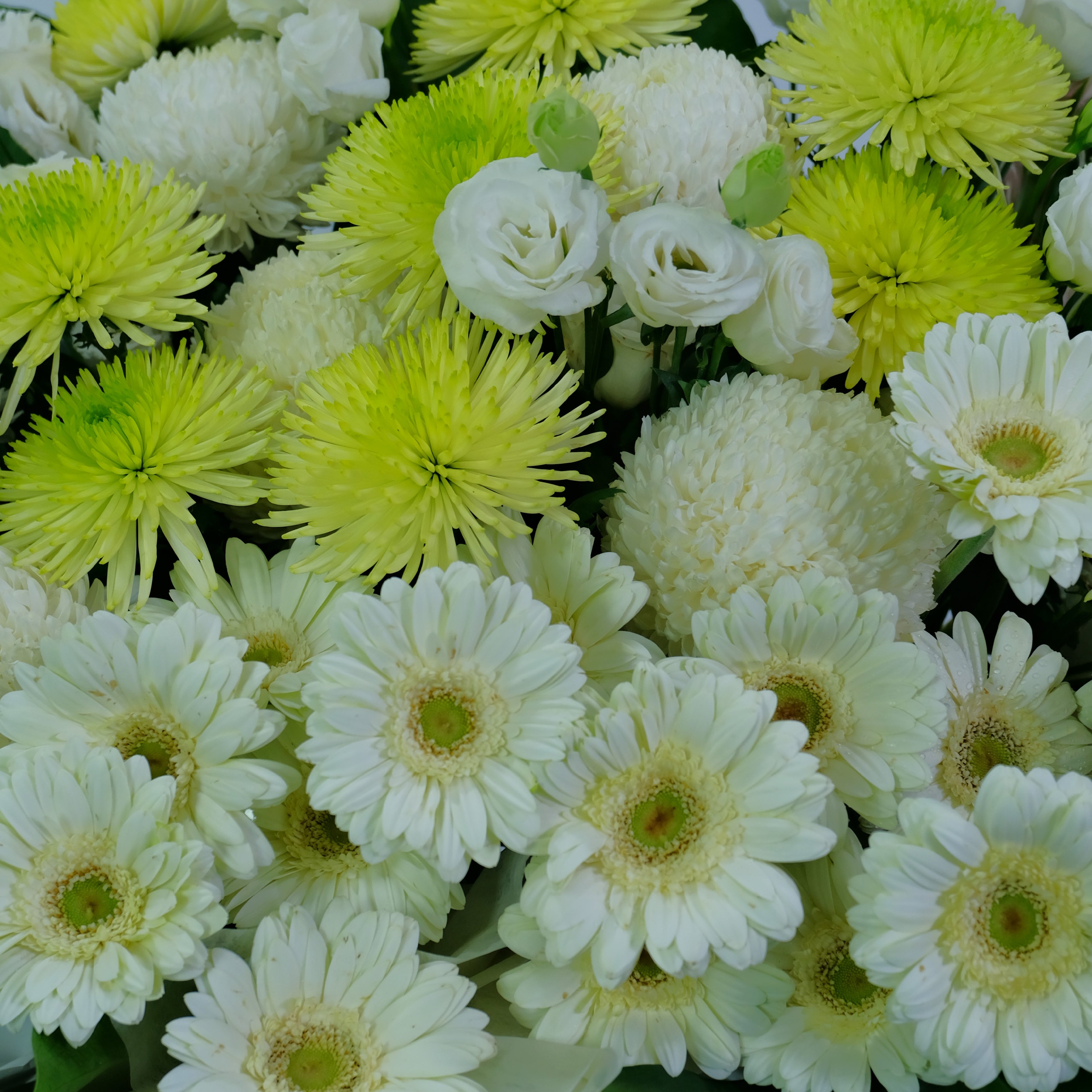 Bouquet of white and green flowers
