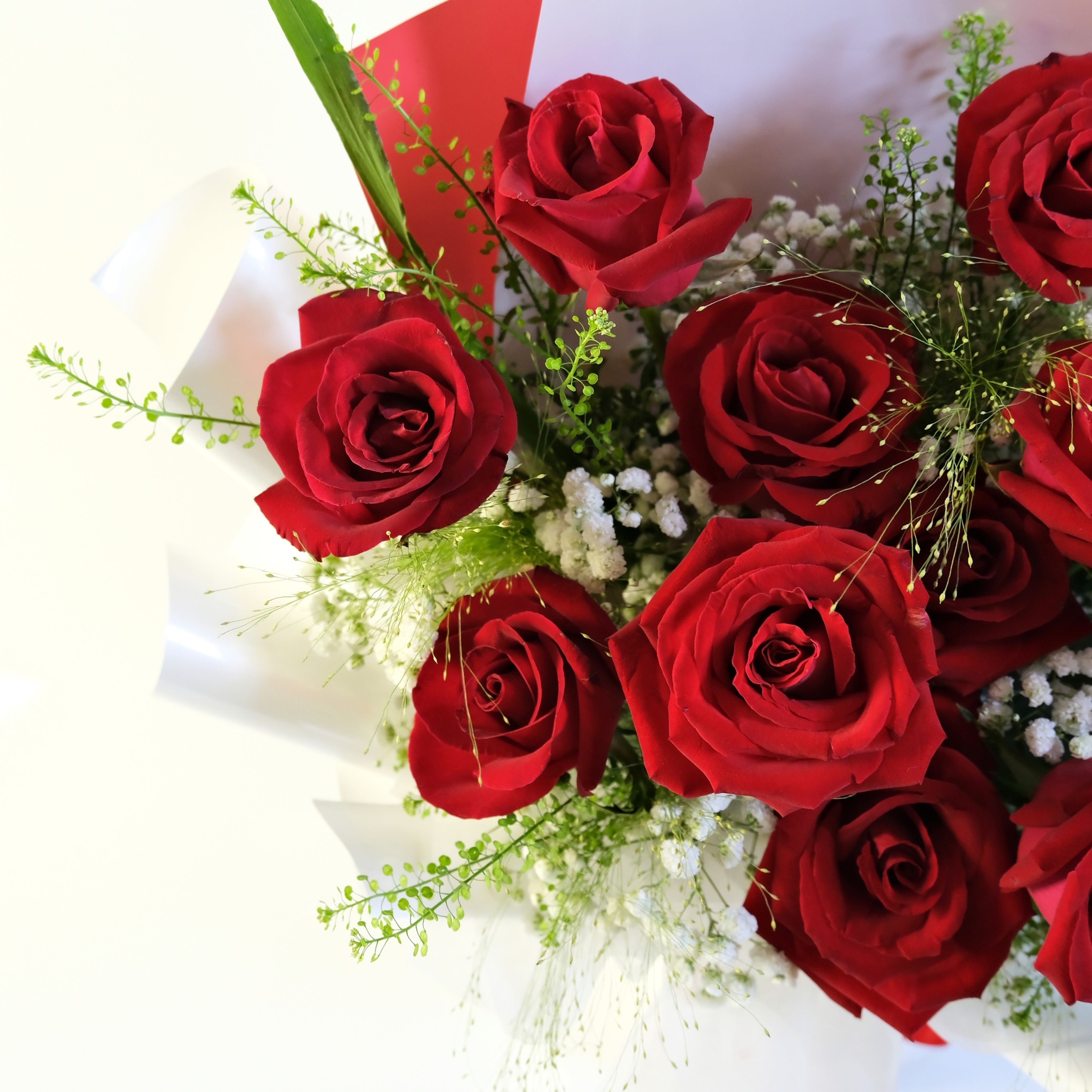 Bouquet of red roses with greenery on a white background