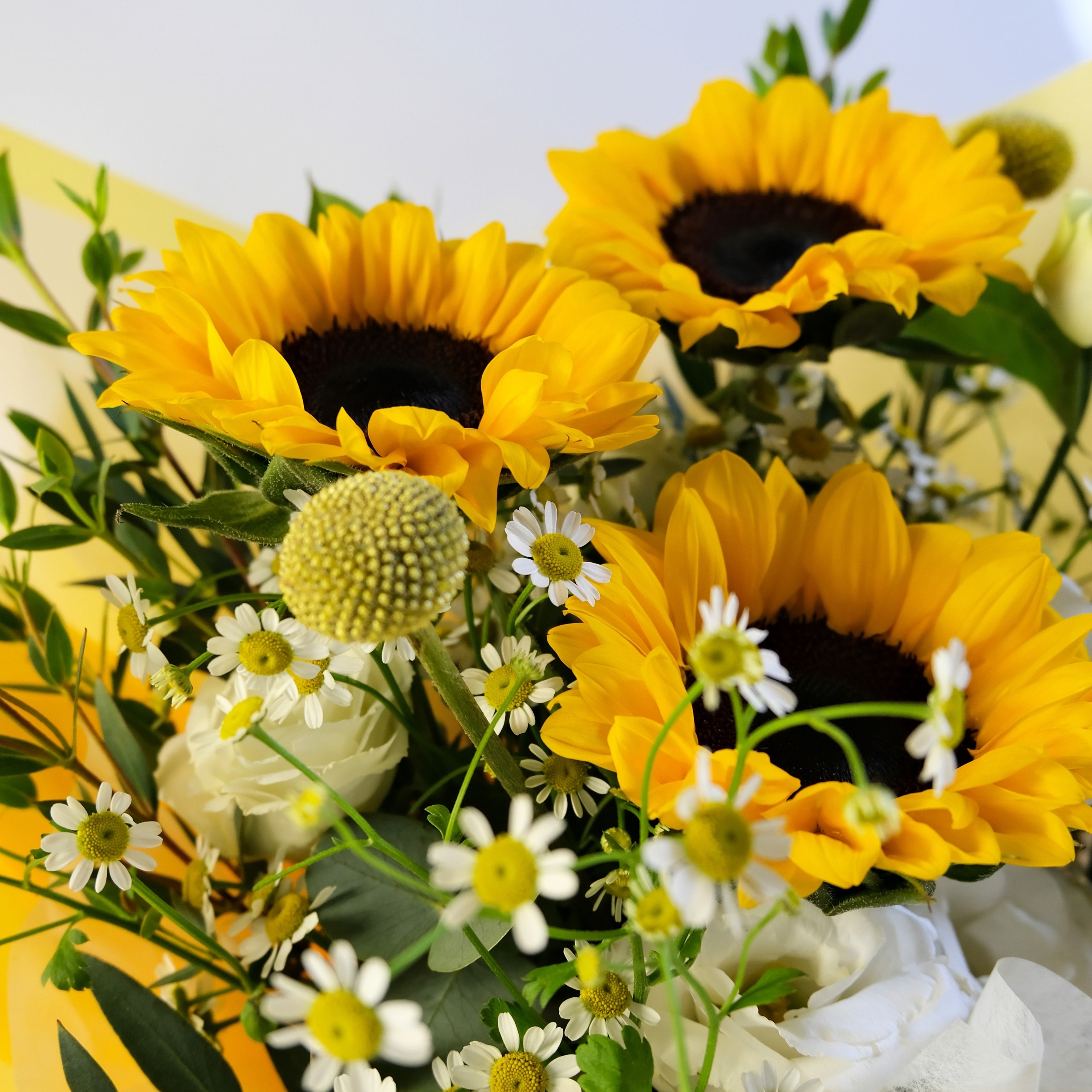 Bouquet of sunflowers and daisies with a yellow background