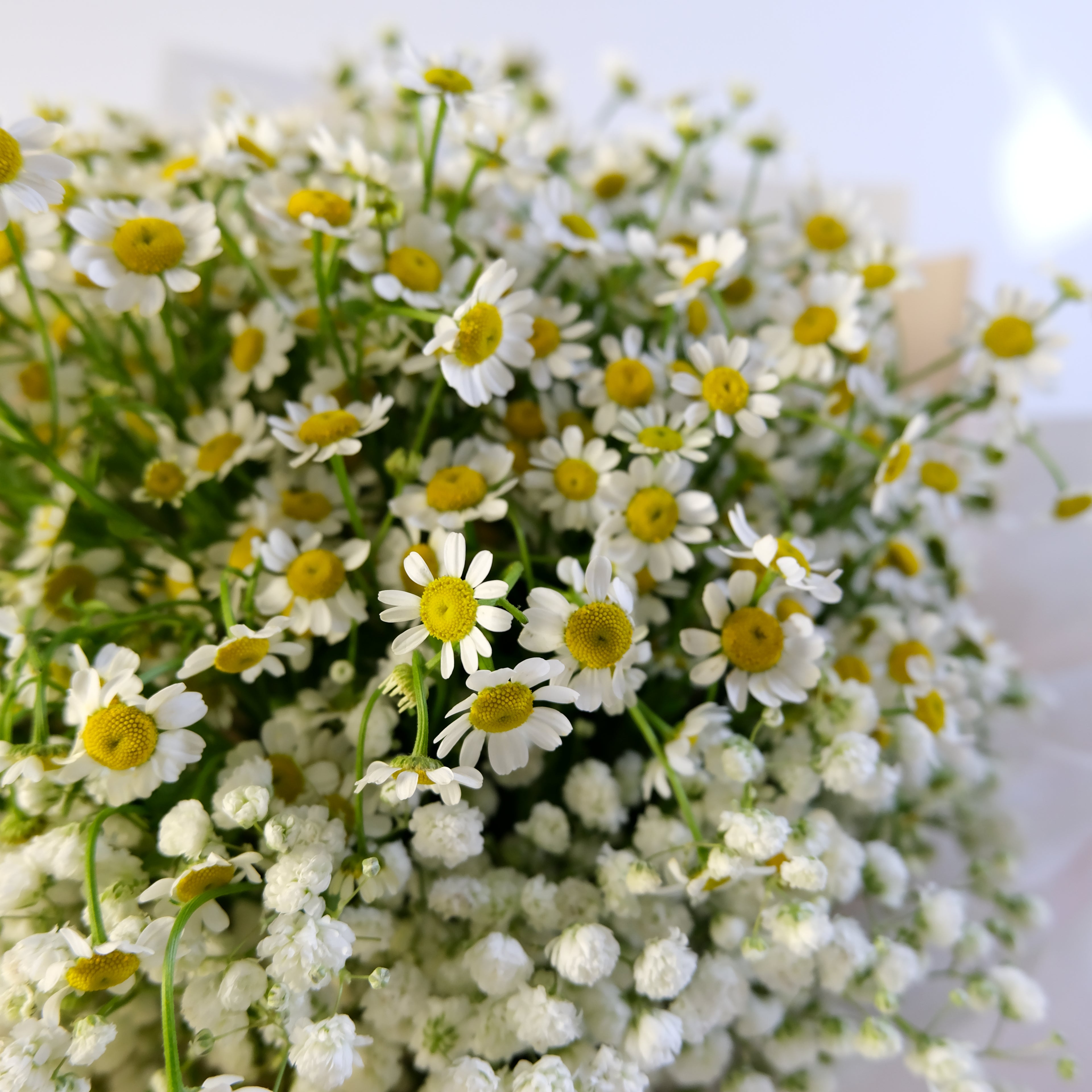 Close-up of a bouquet of white and yellow flowers with a blurred background