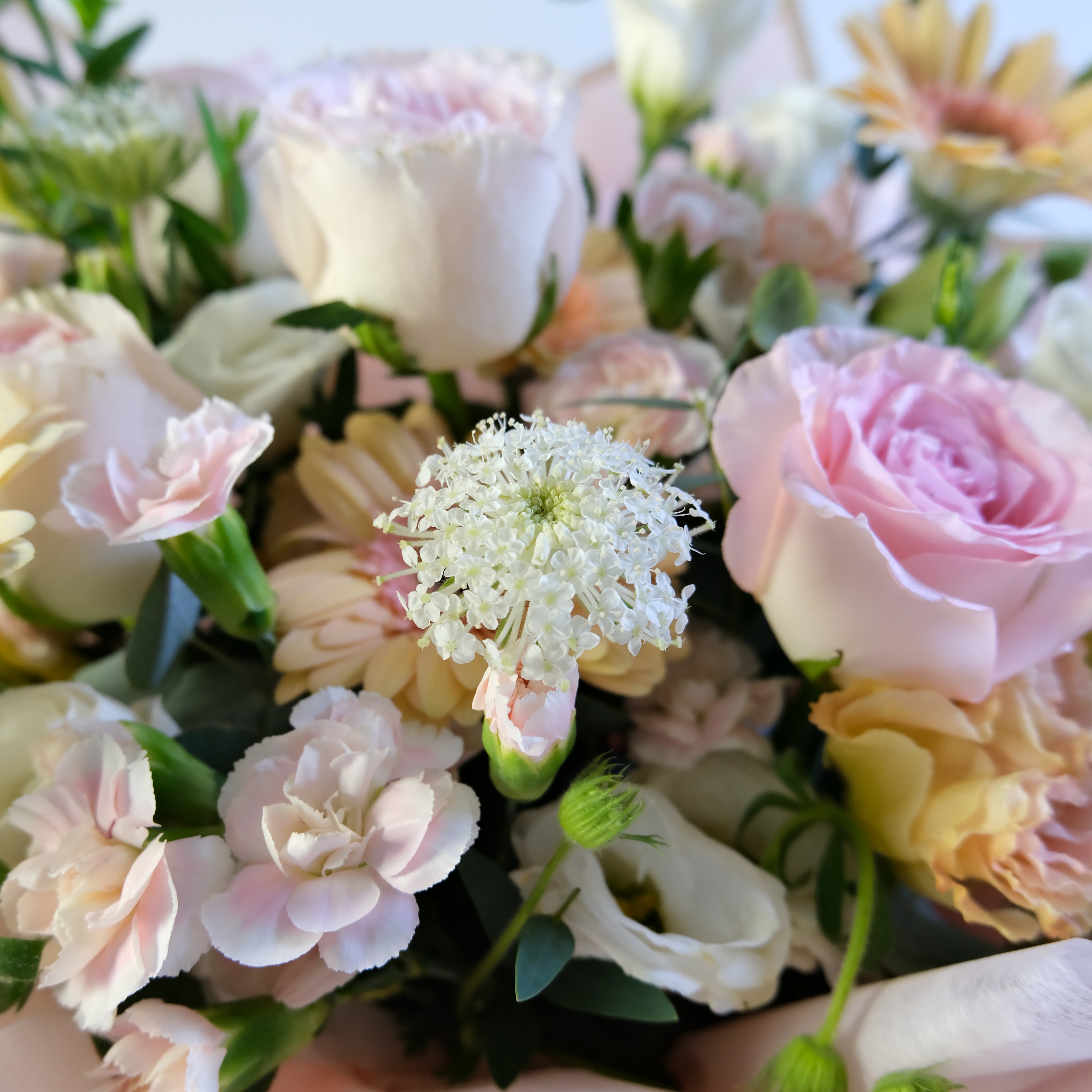 Close-up of a bouquet of flowers with pink, white, and yellow colors.