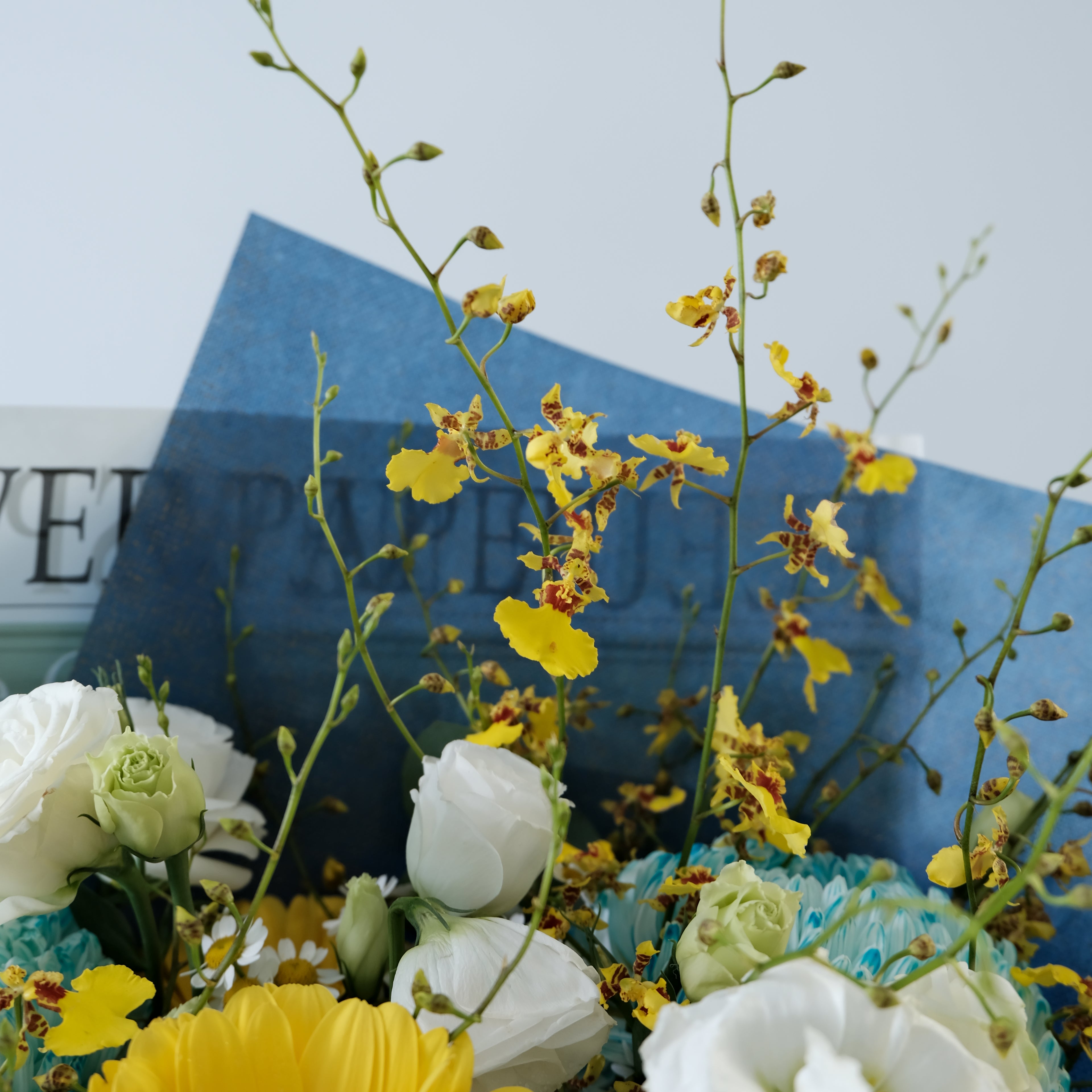 Close-up of yellow and white flowers with a blurred background