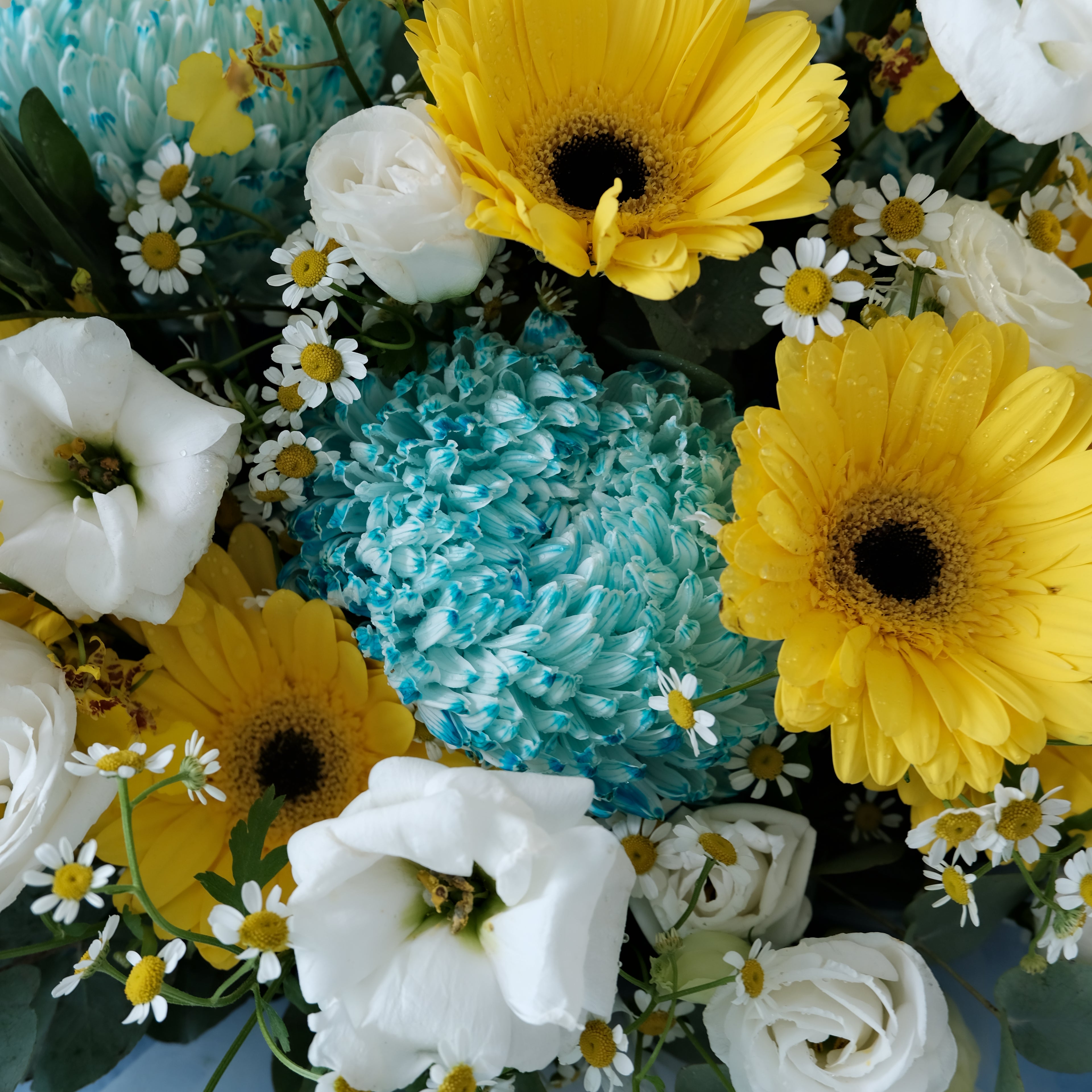 Bouquet of flowers including yellow daisies, white roses, and blue chrysanthemums.
