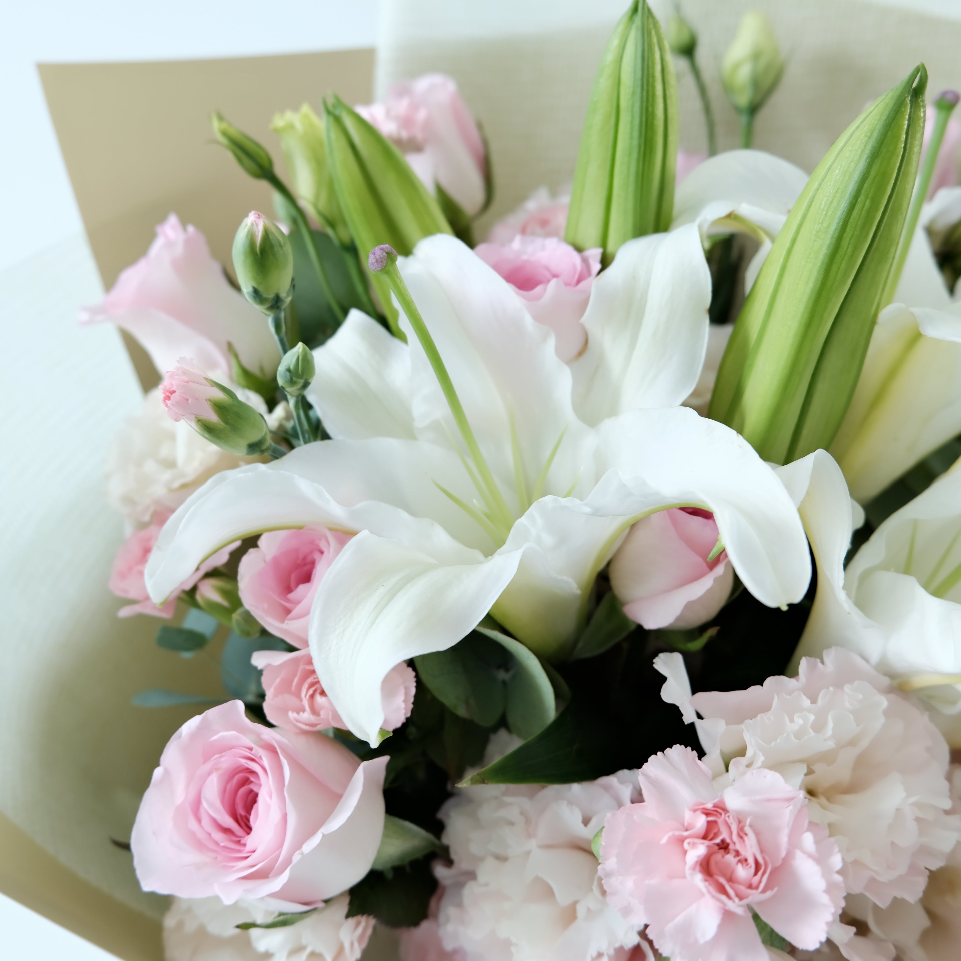 Bouquet of pink and white flowers with green leaves on a light background