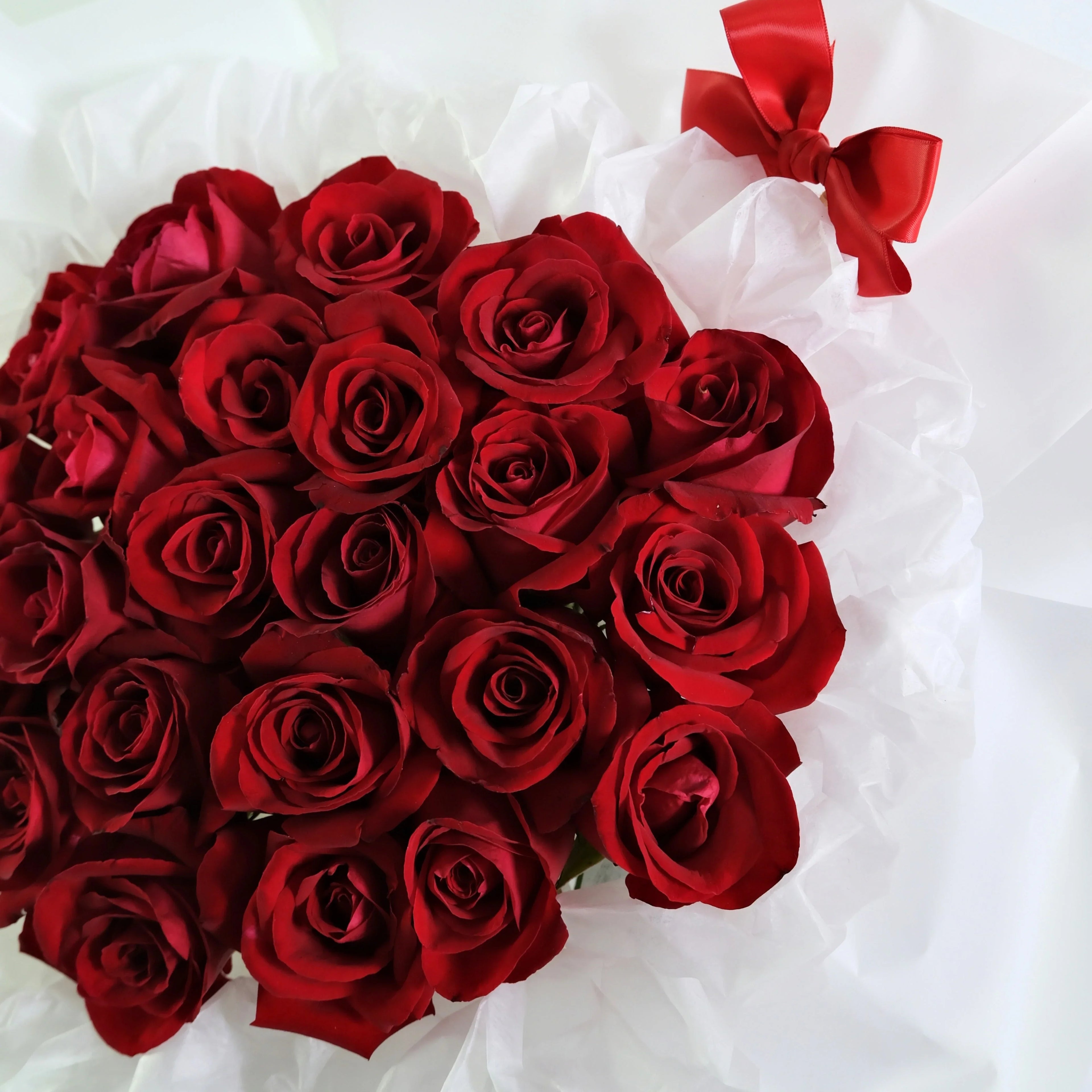 Bouquet of fresh red roses wrapped in white paper with a red satin bow