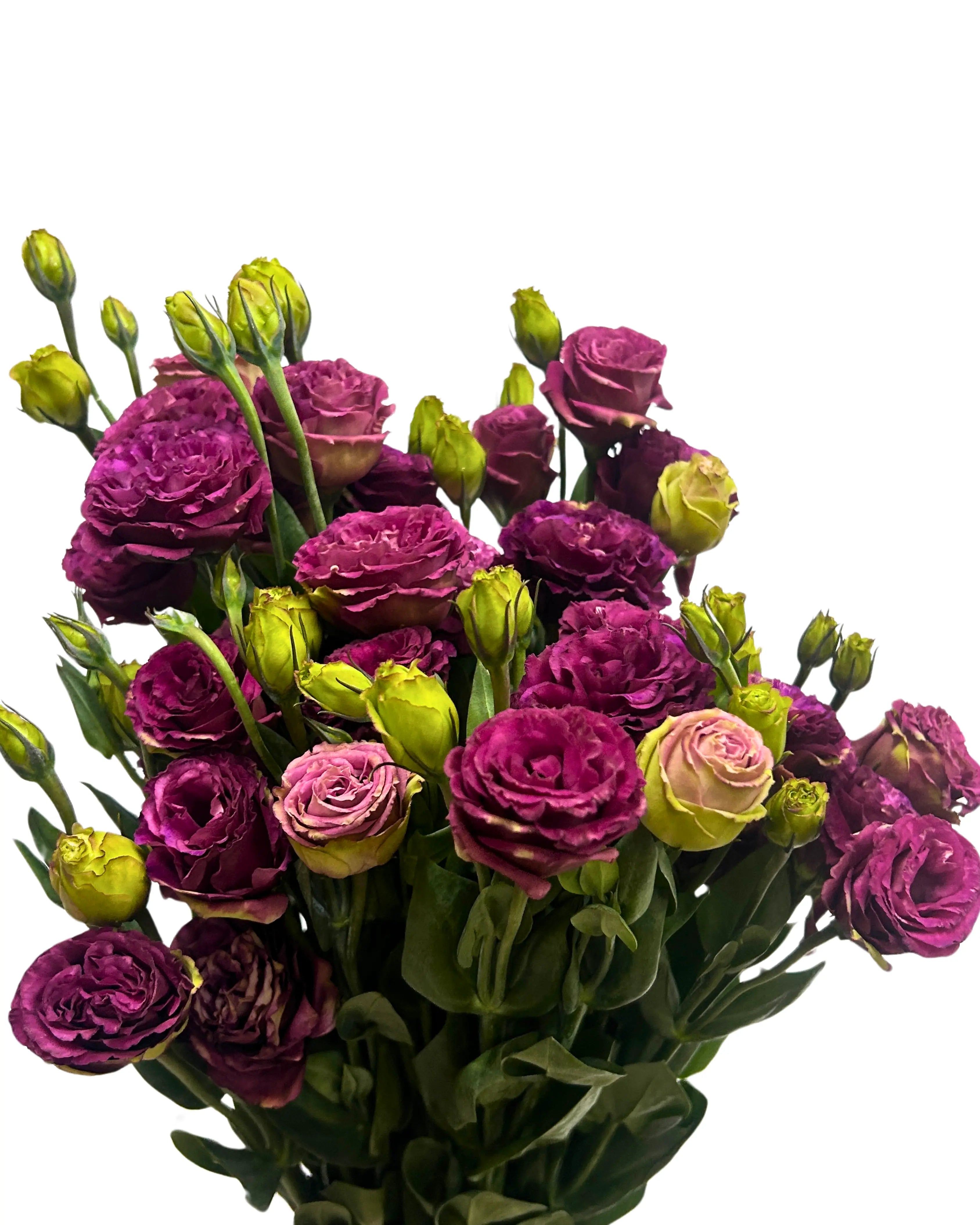 Eustoma Burgundy Bunch