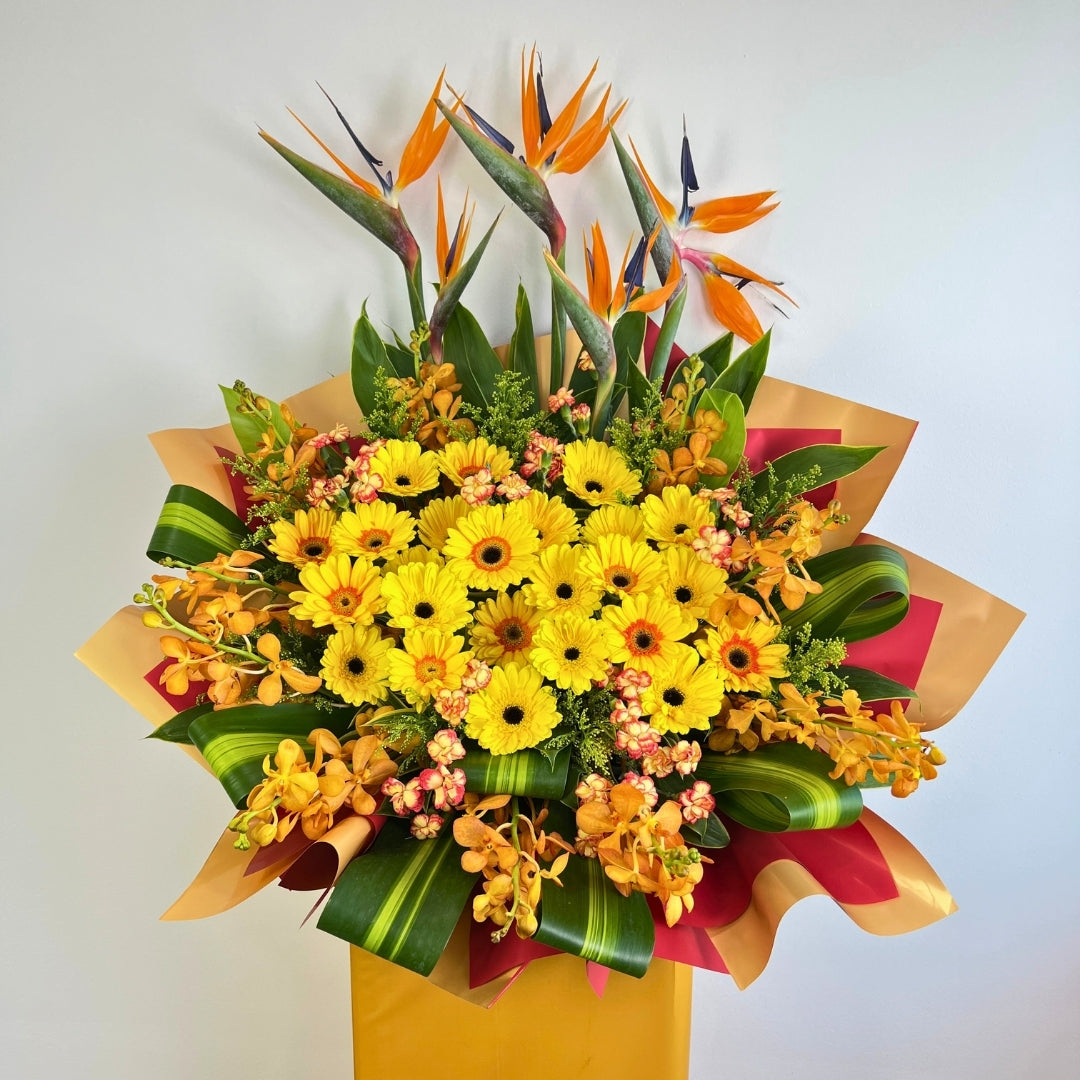 The Majestic Soar Congratulatory Stand