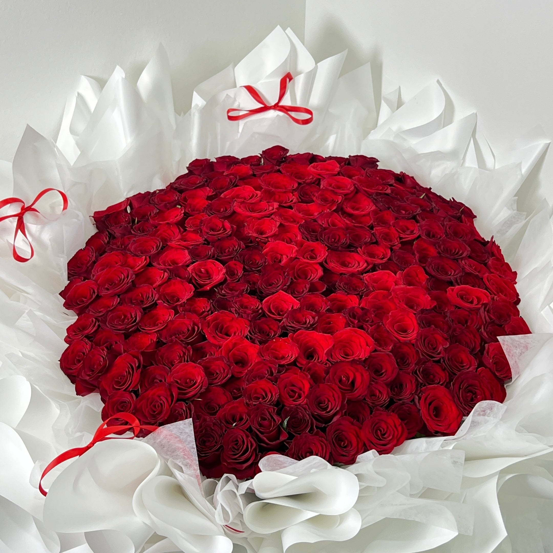 Heart-shaped bouquet of red roses on white tissue paper 199 stems of red roses wrapped in white paper with red ribbons on a light gray background