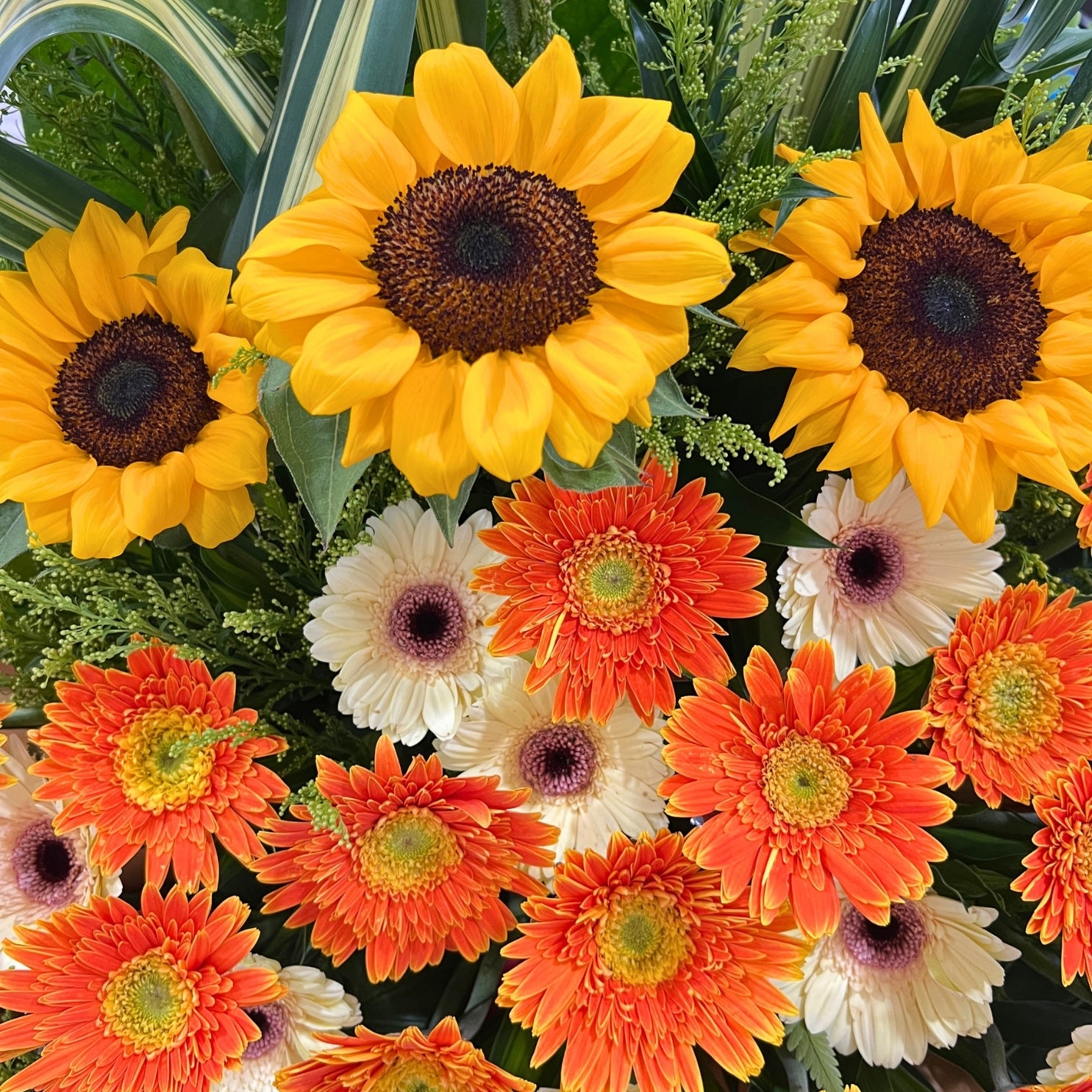 Bouquet of sunflowers, orange, and white flowers with green leaves.