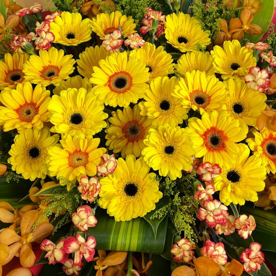 The Majestic Soar Congratulatory Stand