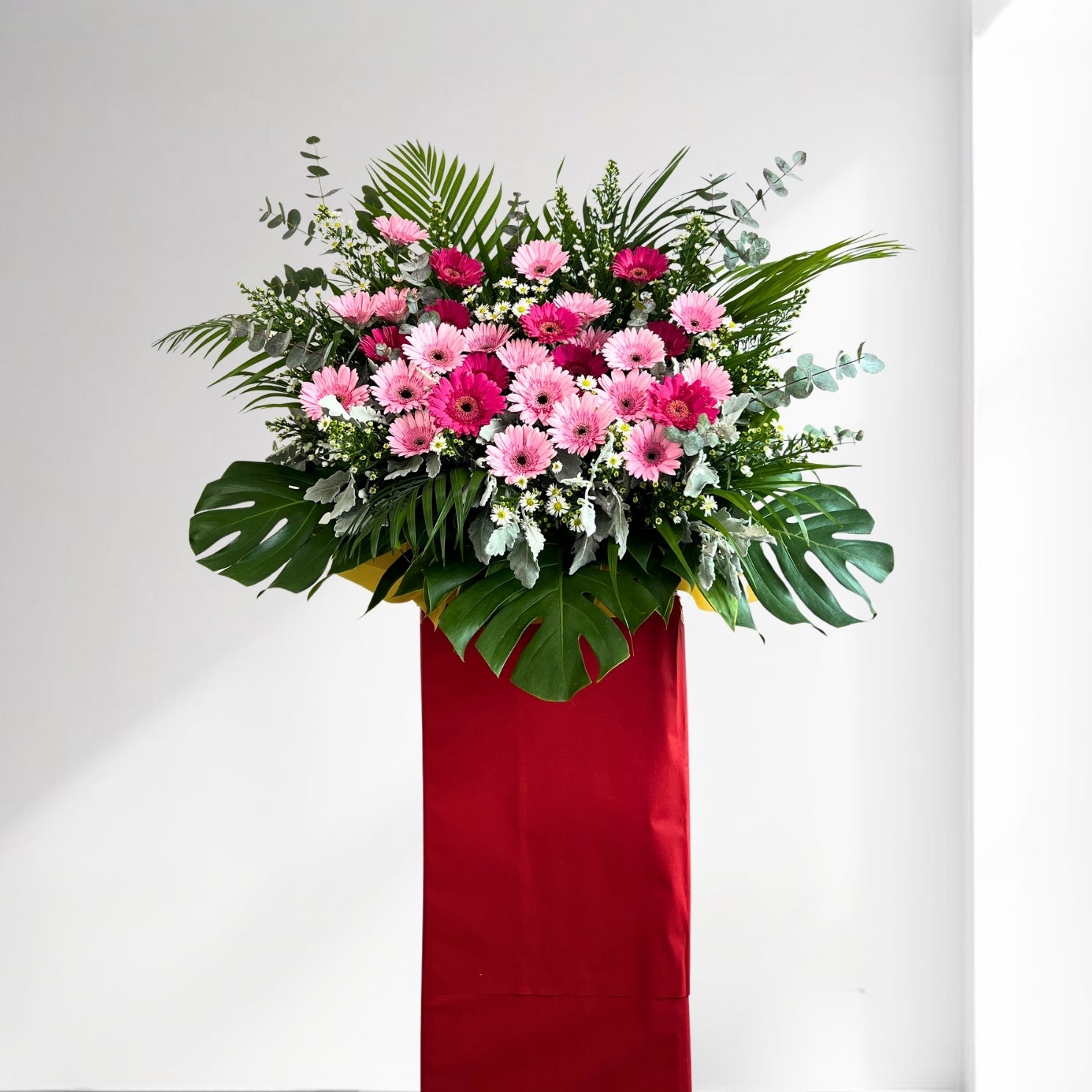 The Blush Ambition Opening Stand