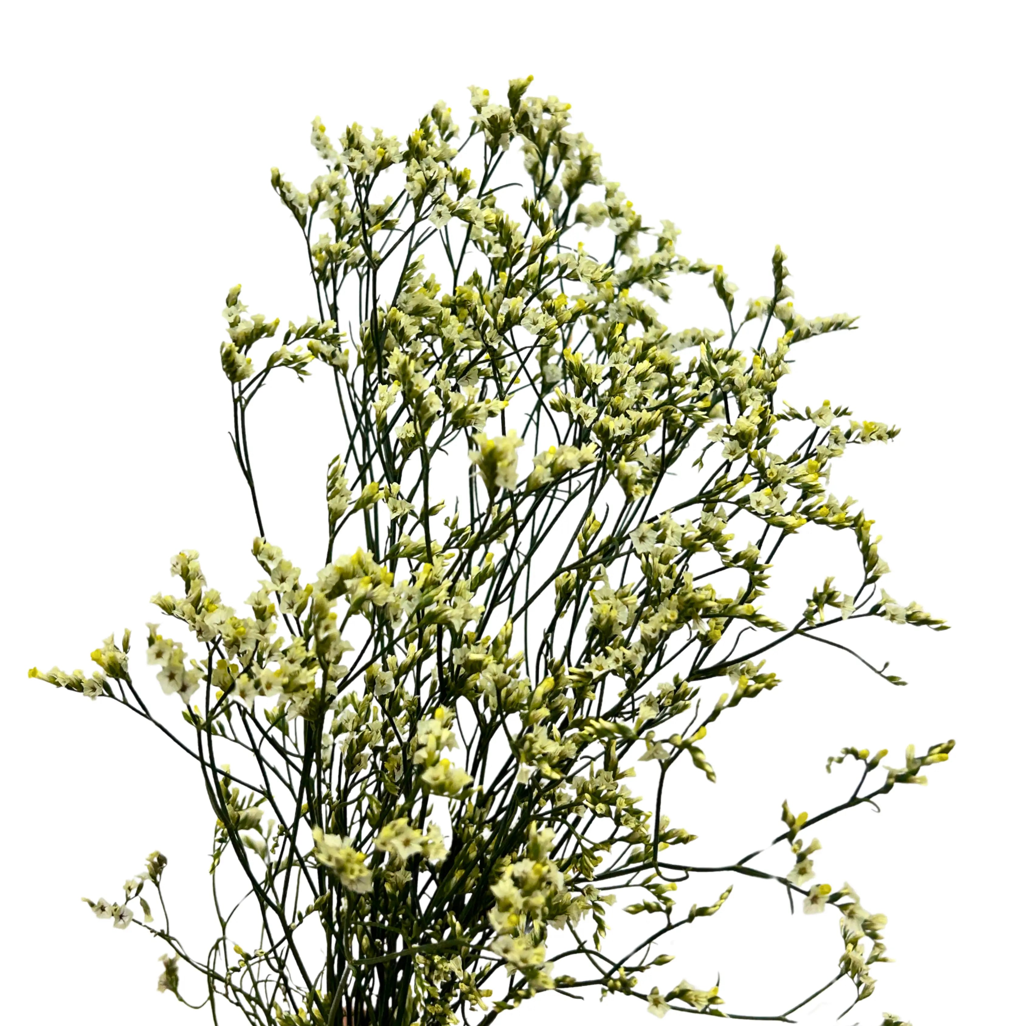 Caspia Yellow Bunch