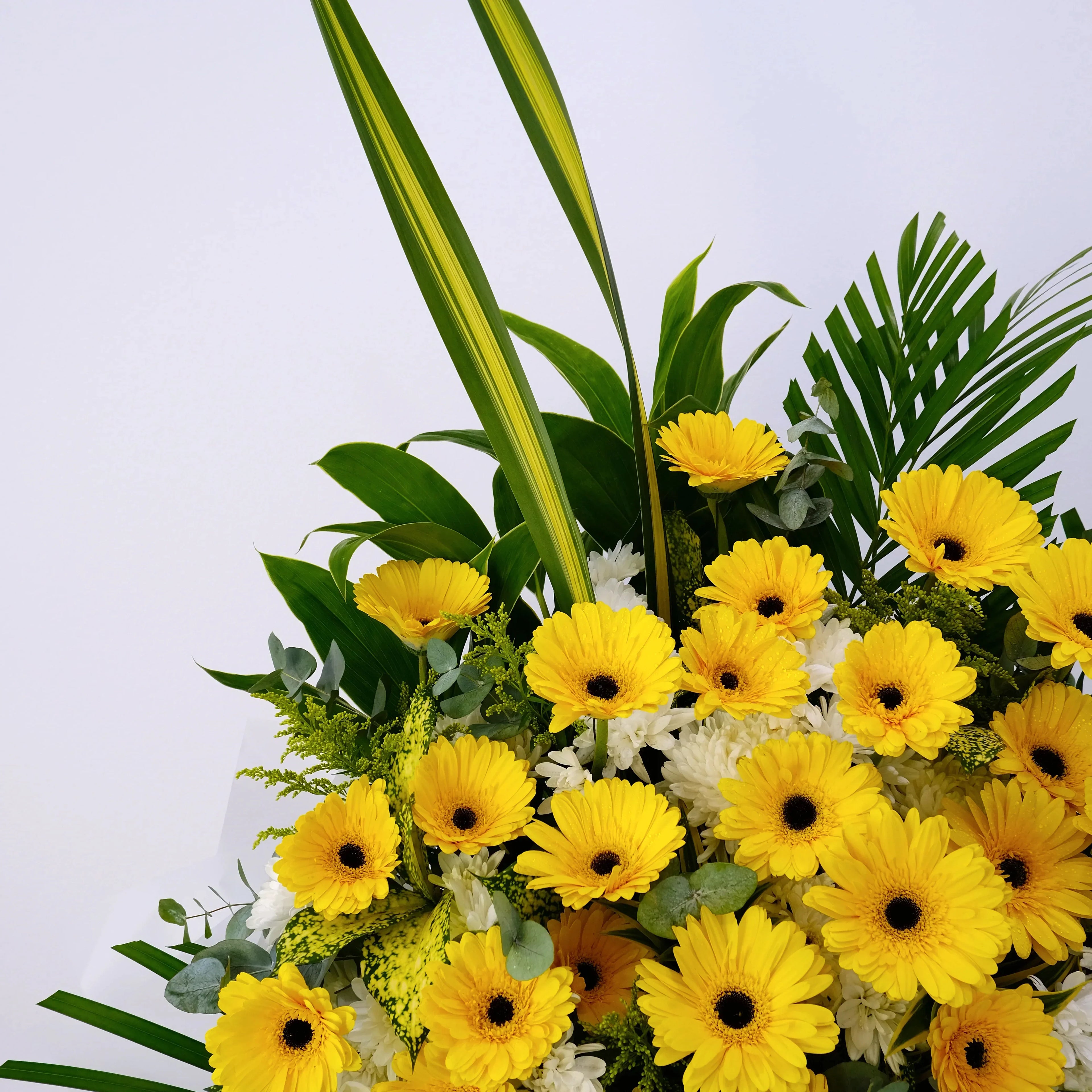 Yellow gerbera daisy bouquet with green leaves and white flowers on white background