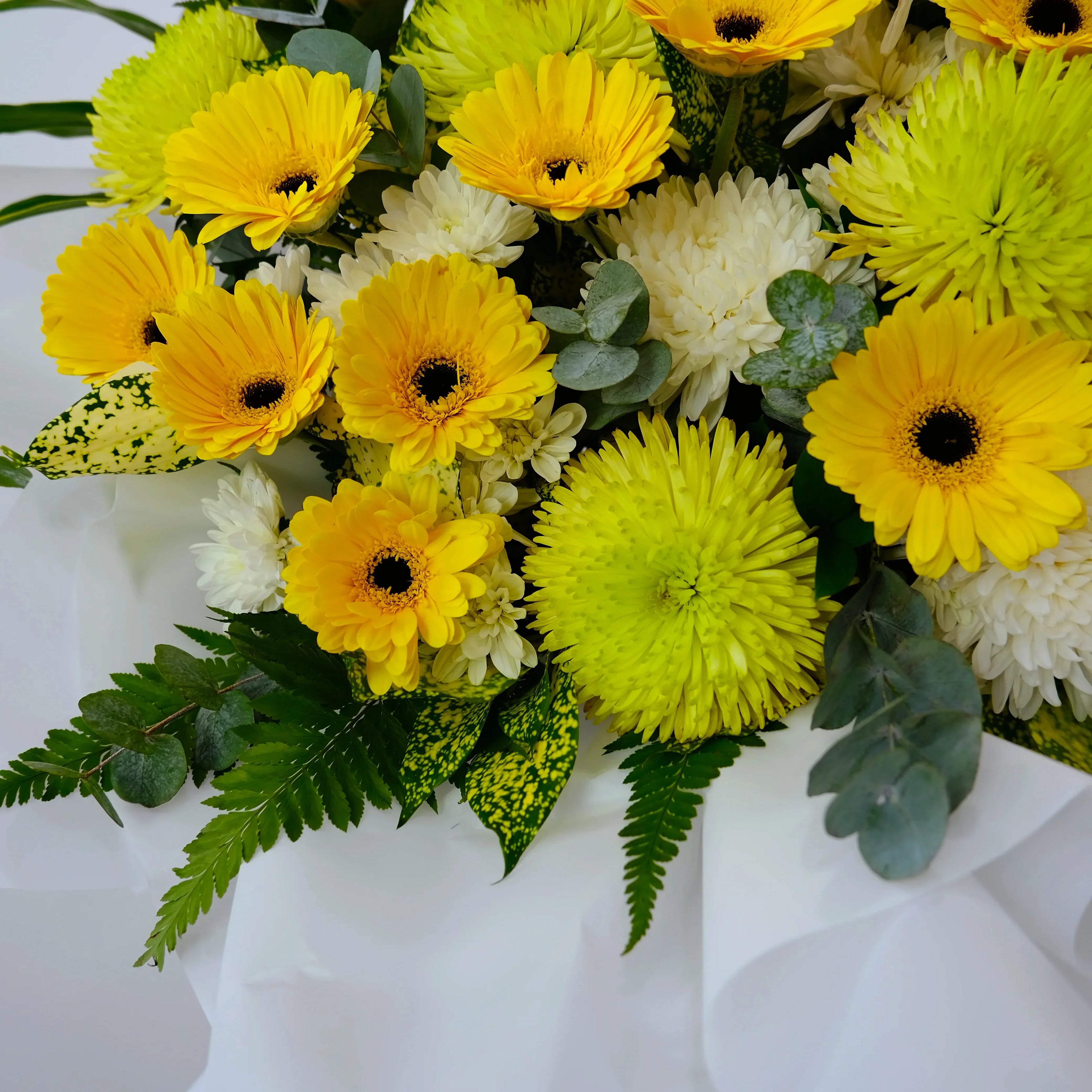 Yellow and white gerbera daisy bouquet with lush green foliage on a white background