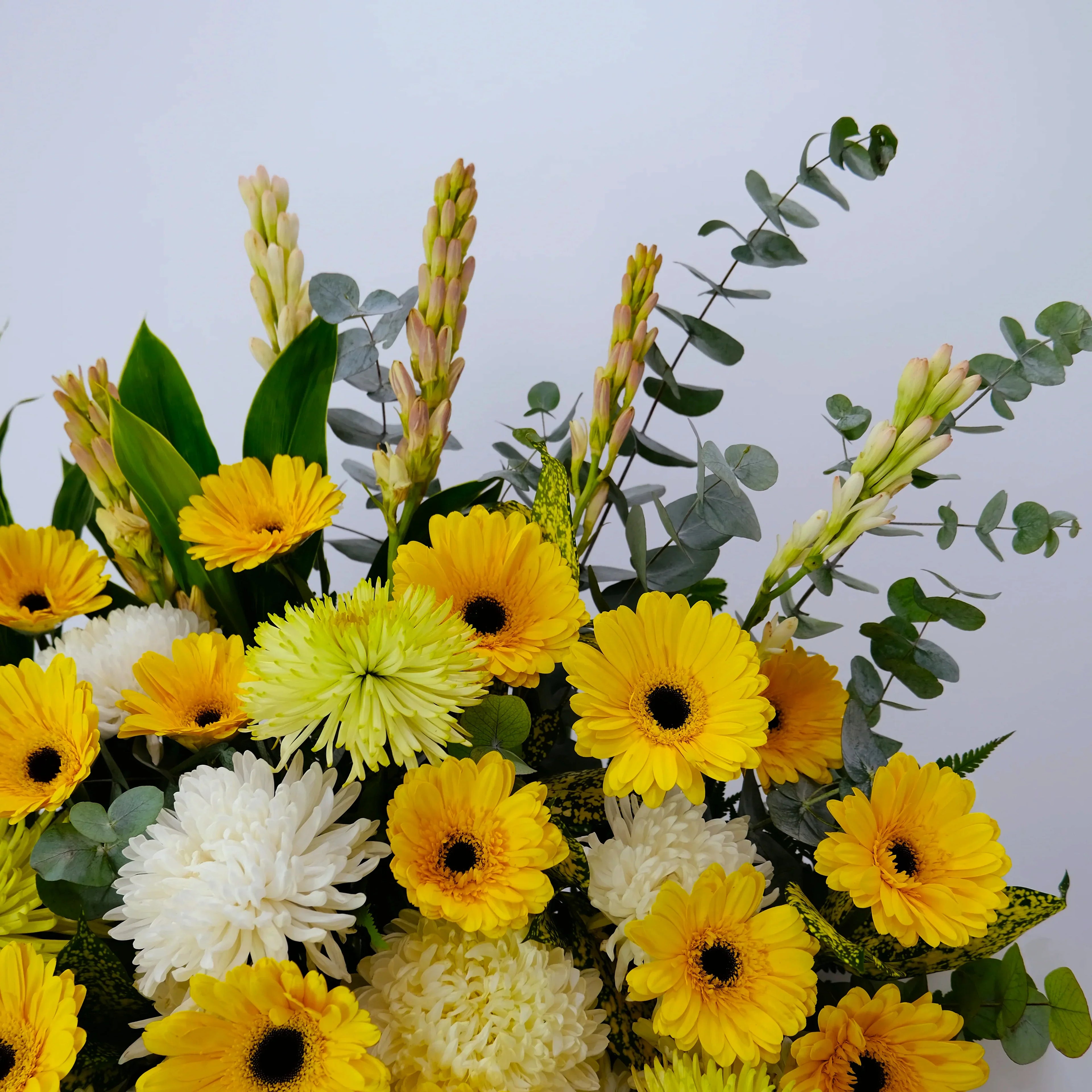 Yellow gerbera daisies and white chrysanthemums floral arrangement with green foliage