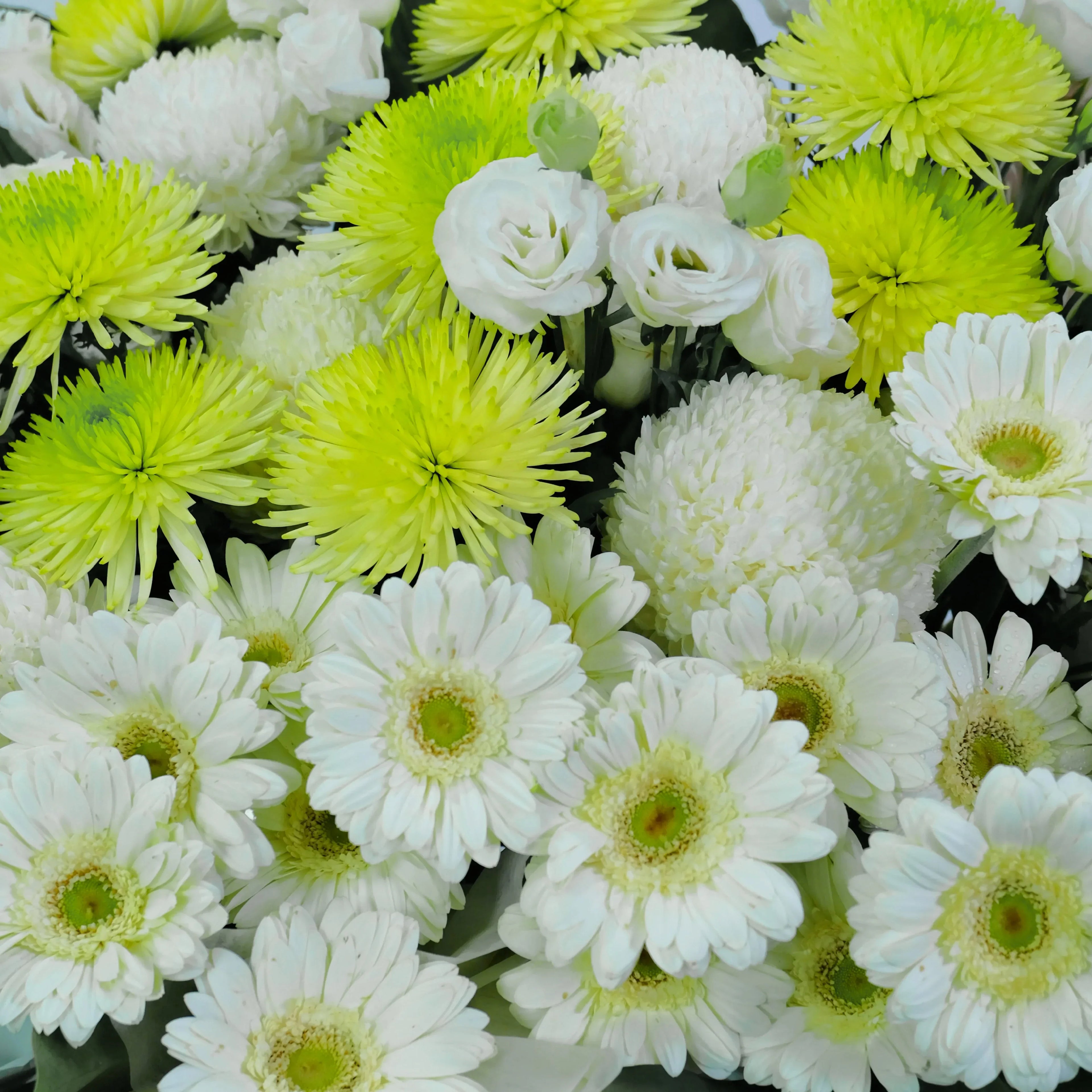 Bouquet of white and green flowers