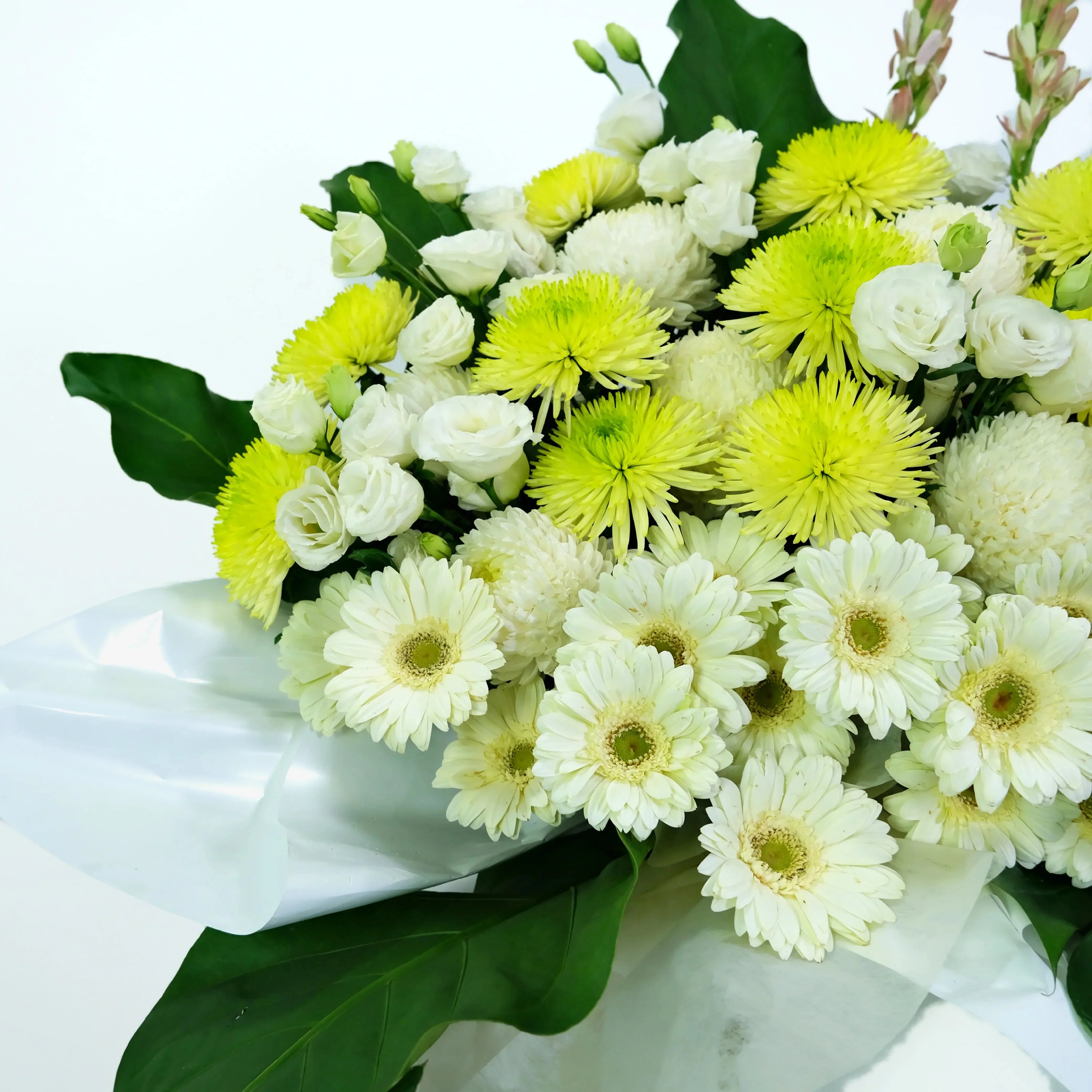 Bouquet of white and yellow flowers with green leaves on a white background