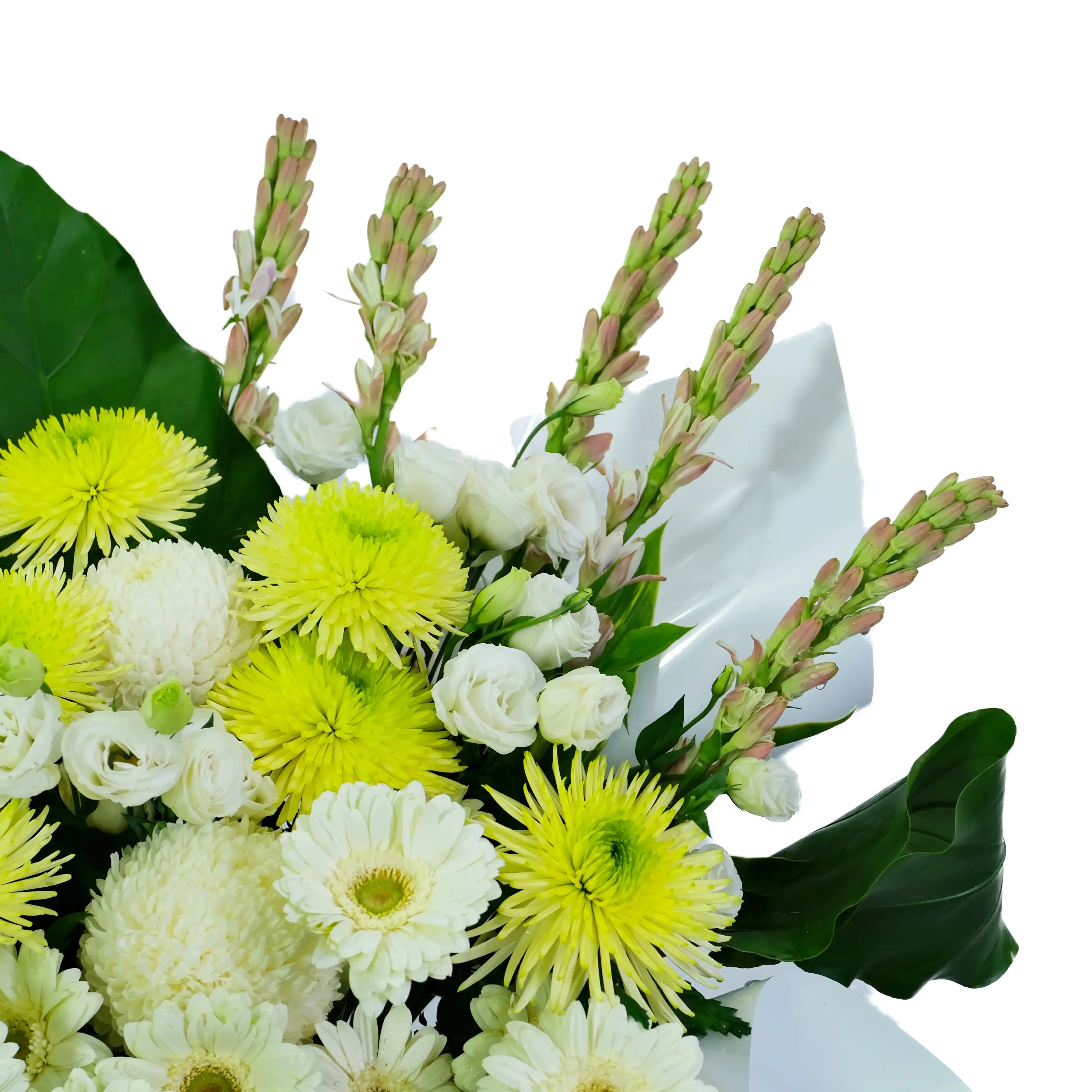 Bouquet of green and white flowers with a white box on a white background