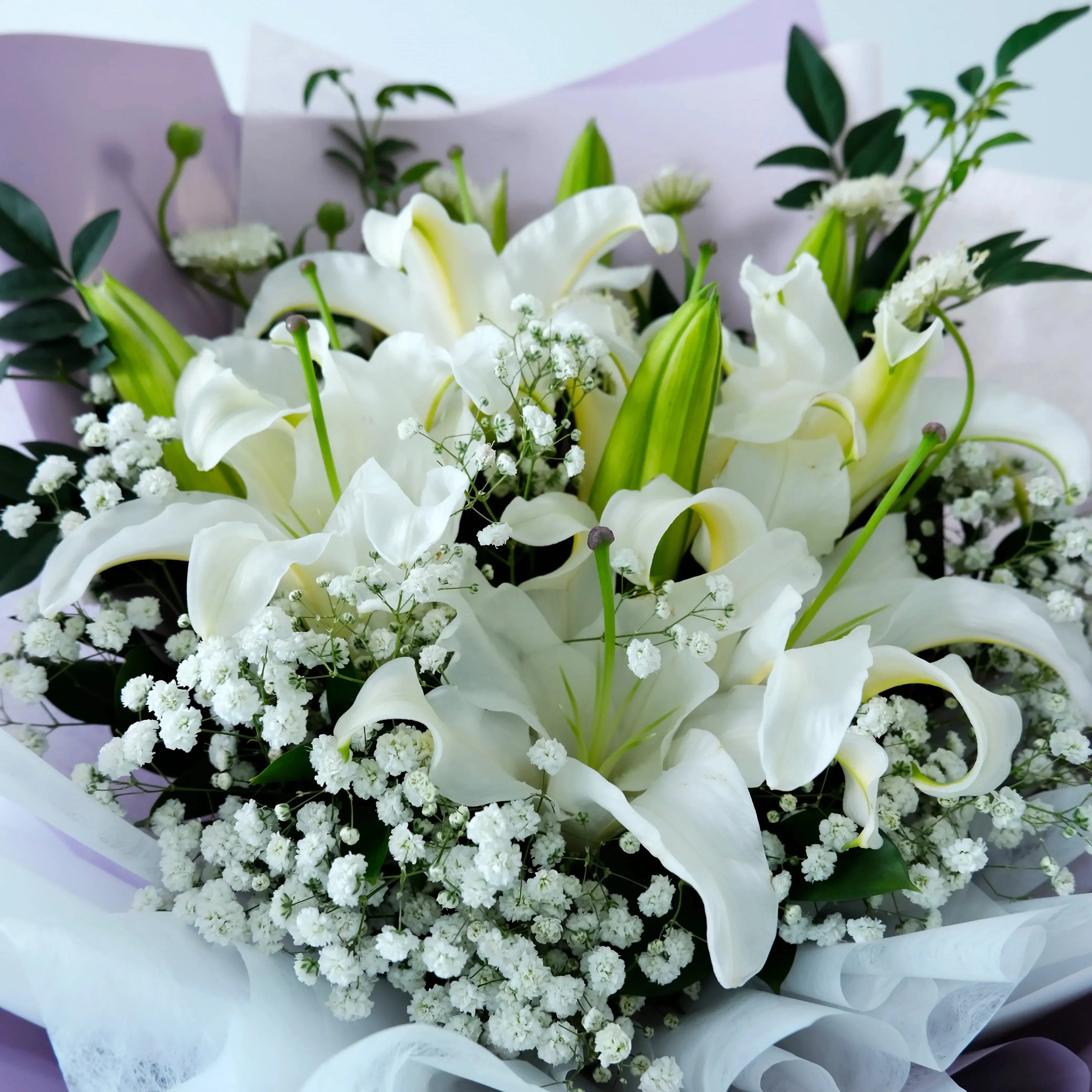 Bouquet of white lilies and baby's breath with green leaves on a light purple background