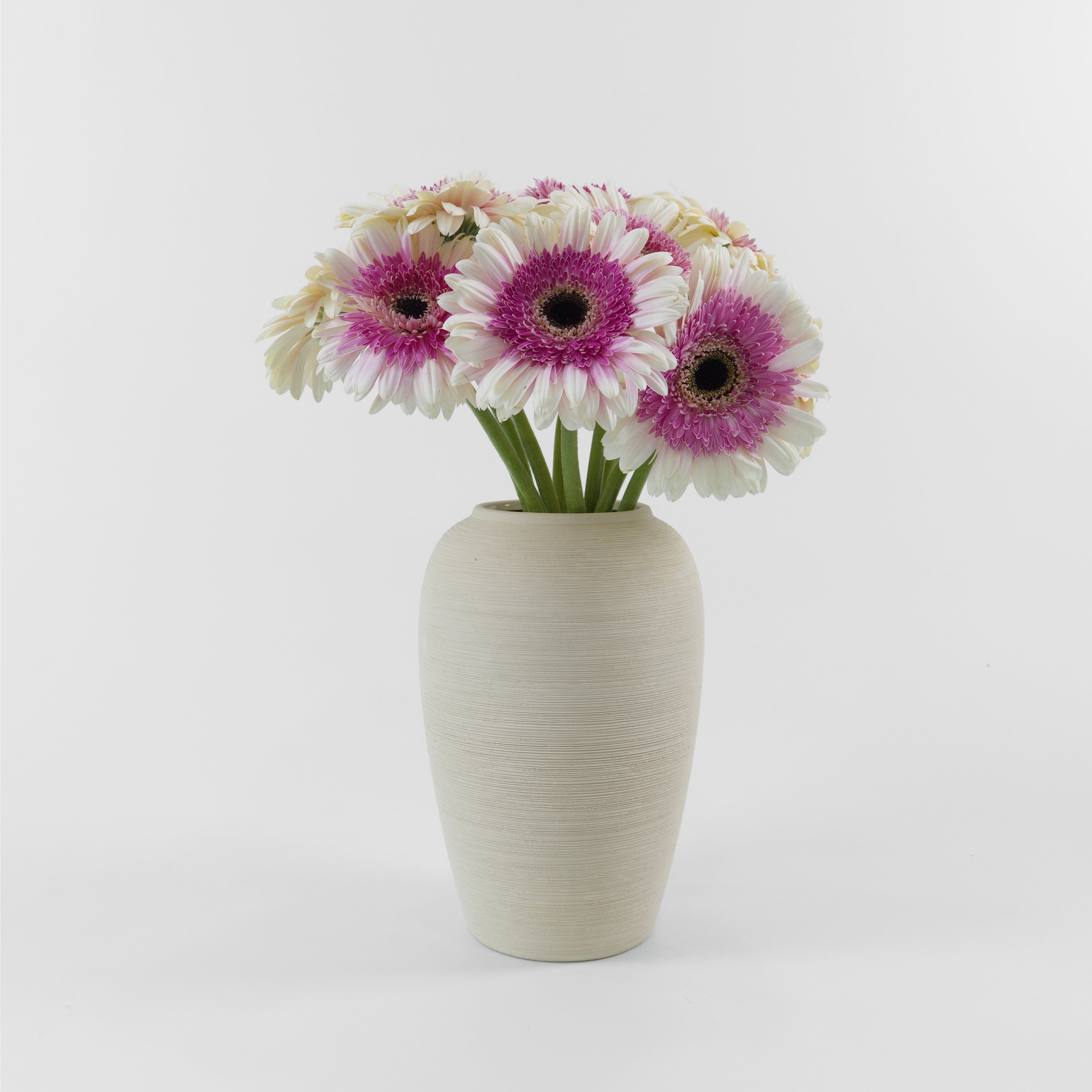 Fresh-cut purple and white gerbera flowers, delivered across Klang Valley