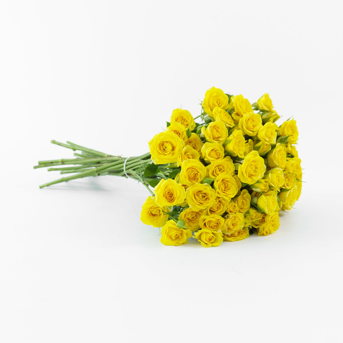 Rose Spray - Yellow Century Flower