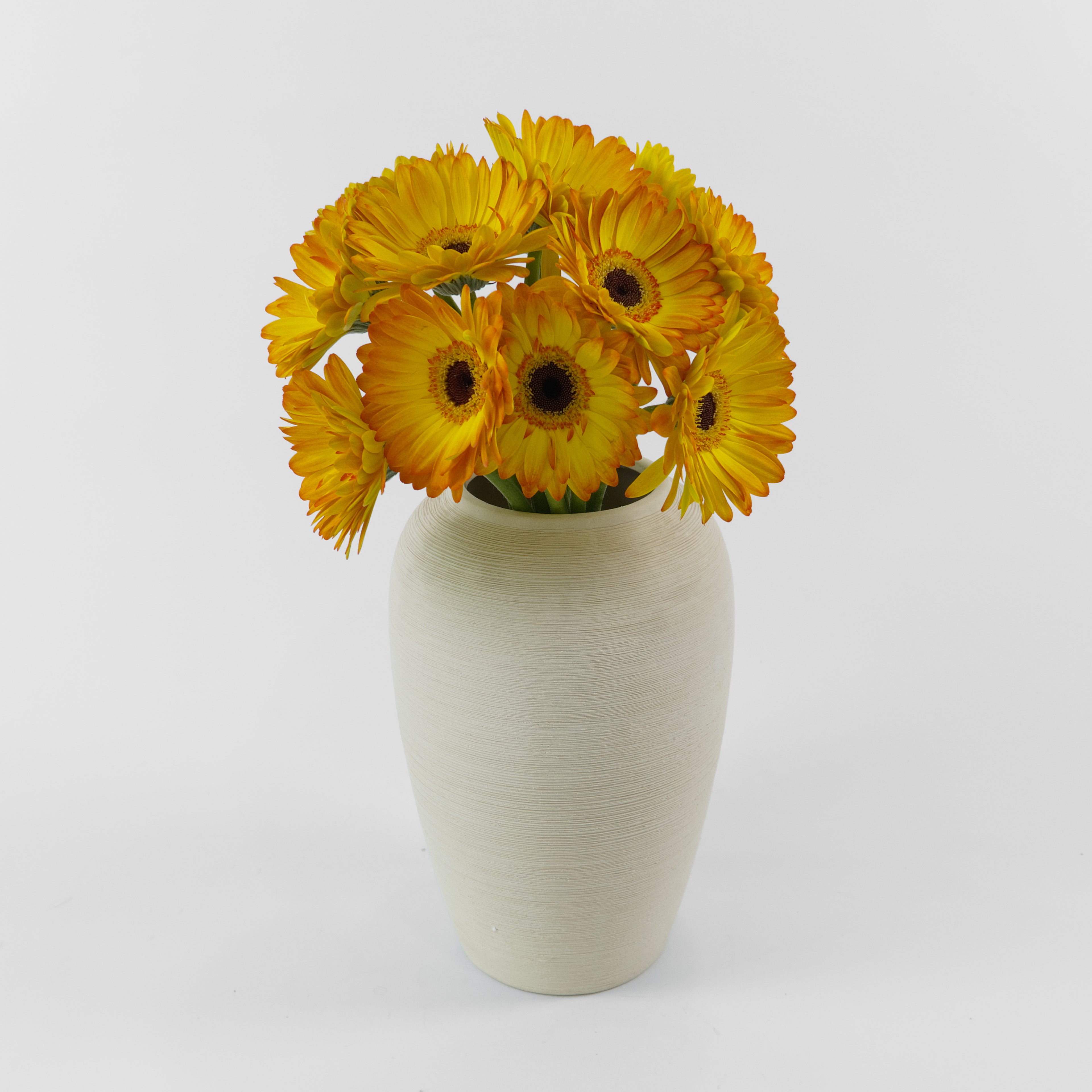 A wholesale bundle of ten fresh Gerbera Sunshine daisies with bright golden petals, wrapped and ready for delivery by a Malaysian flower supplier.