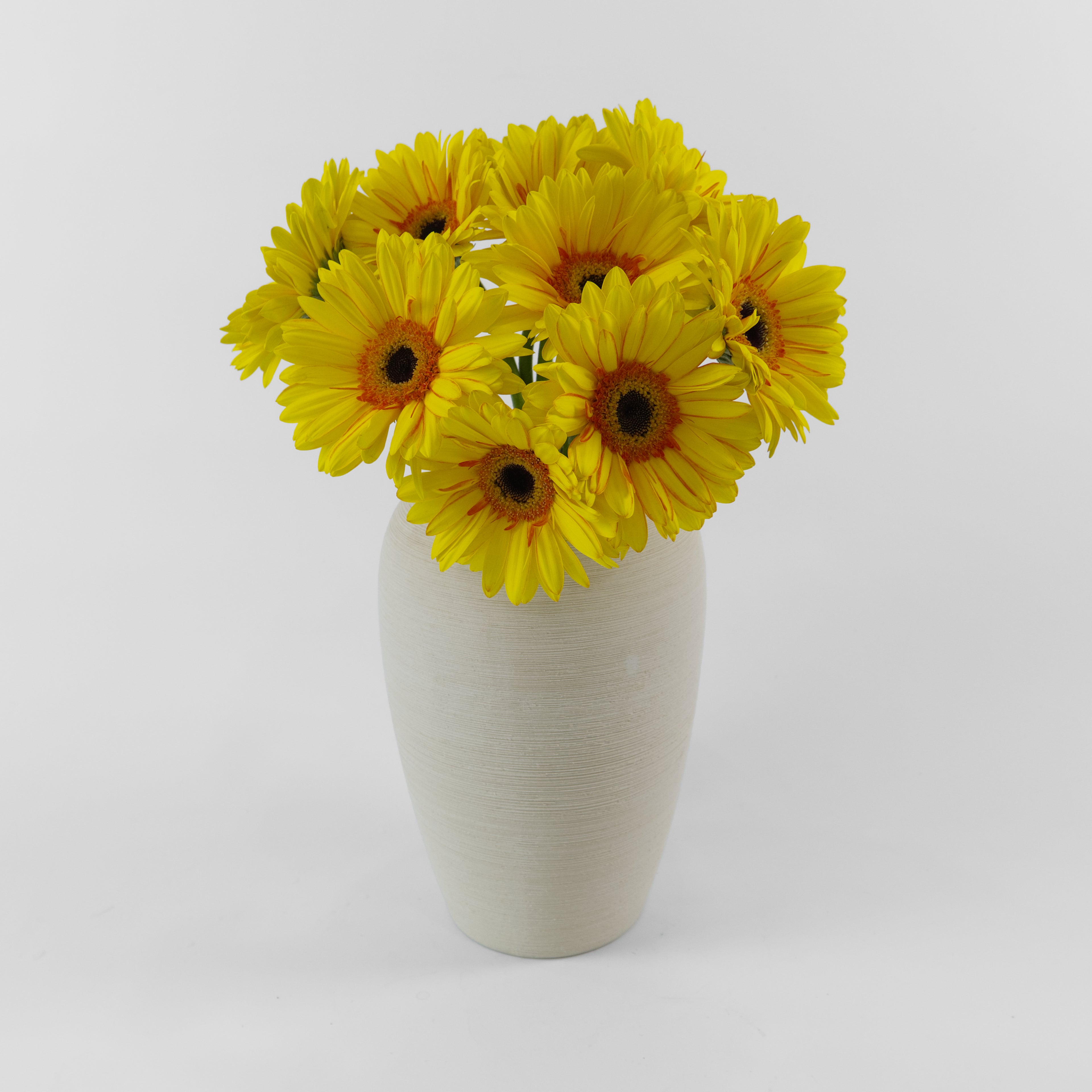 White vase with yellow flowers on a white background