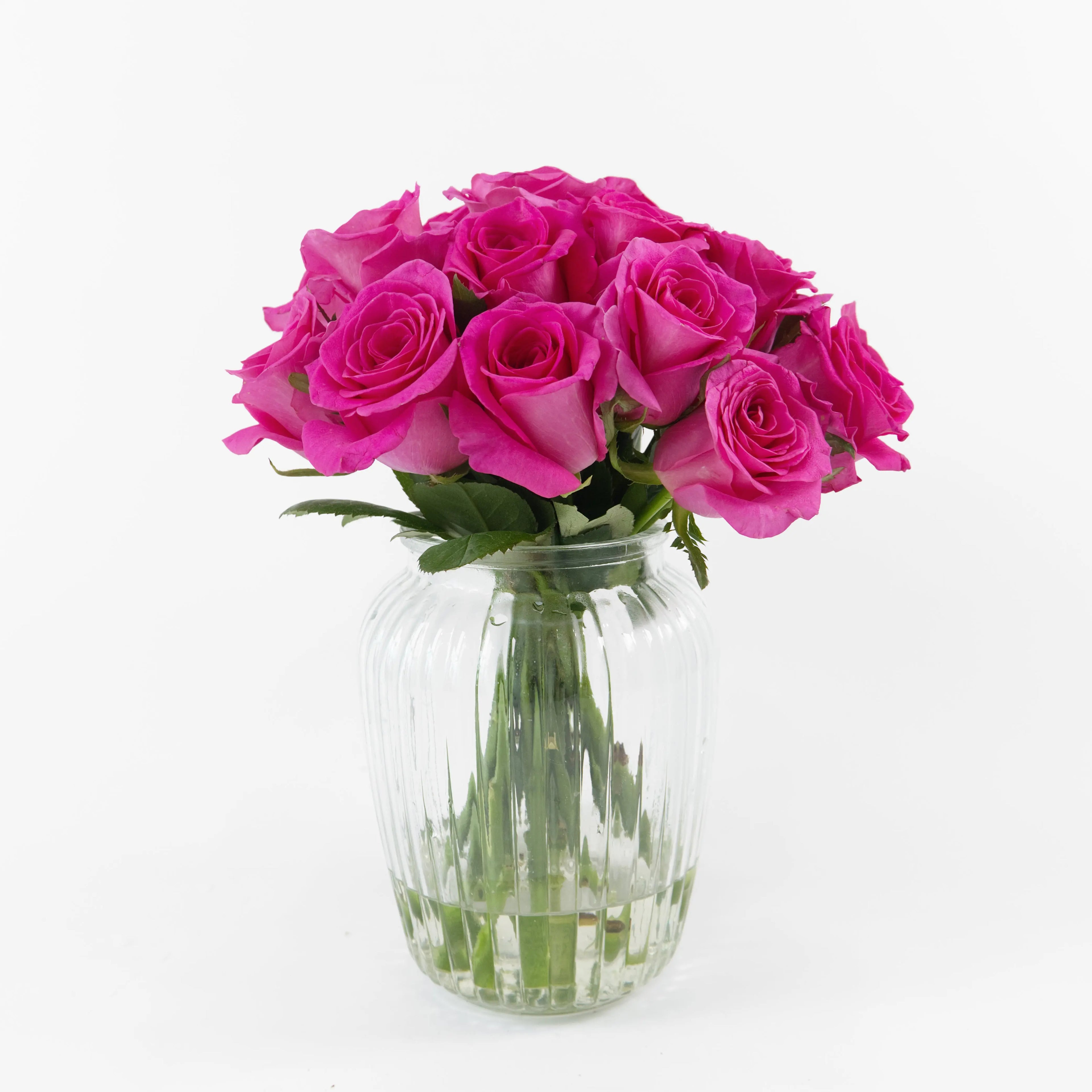 Bundles of Freud Pink roses standing in clean water buckets inside a floral cold storage room in Kuala Lumpur.
