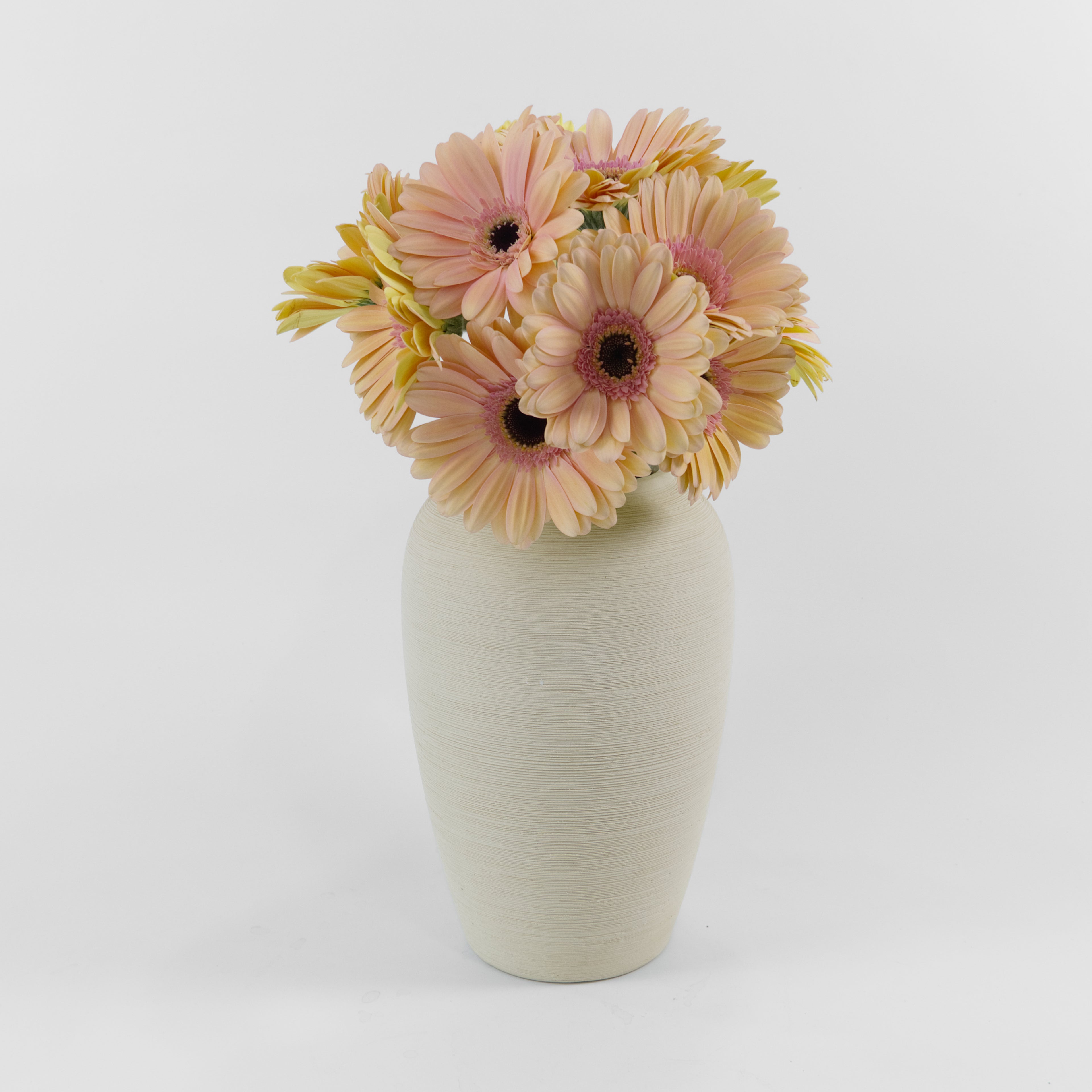 Bundles of wholesale peach gerberas kept in clean water containers inside a floral cold storage room in Kuala Lumpur.