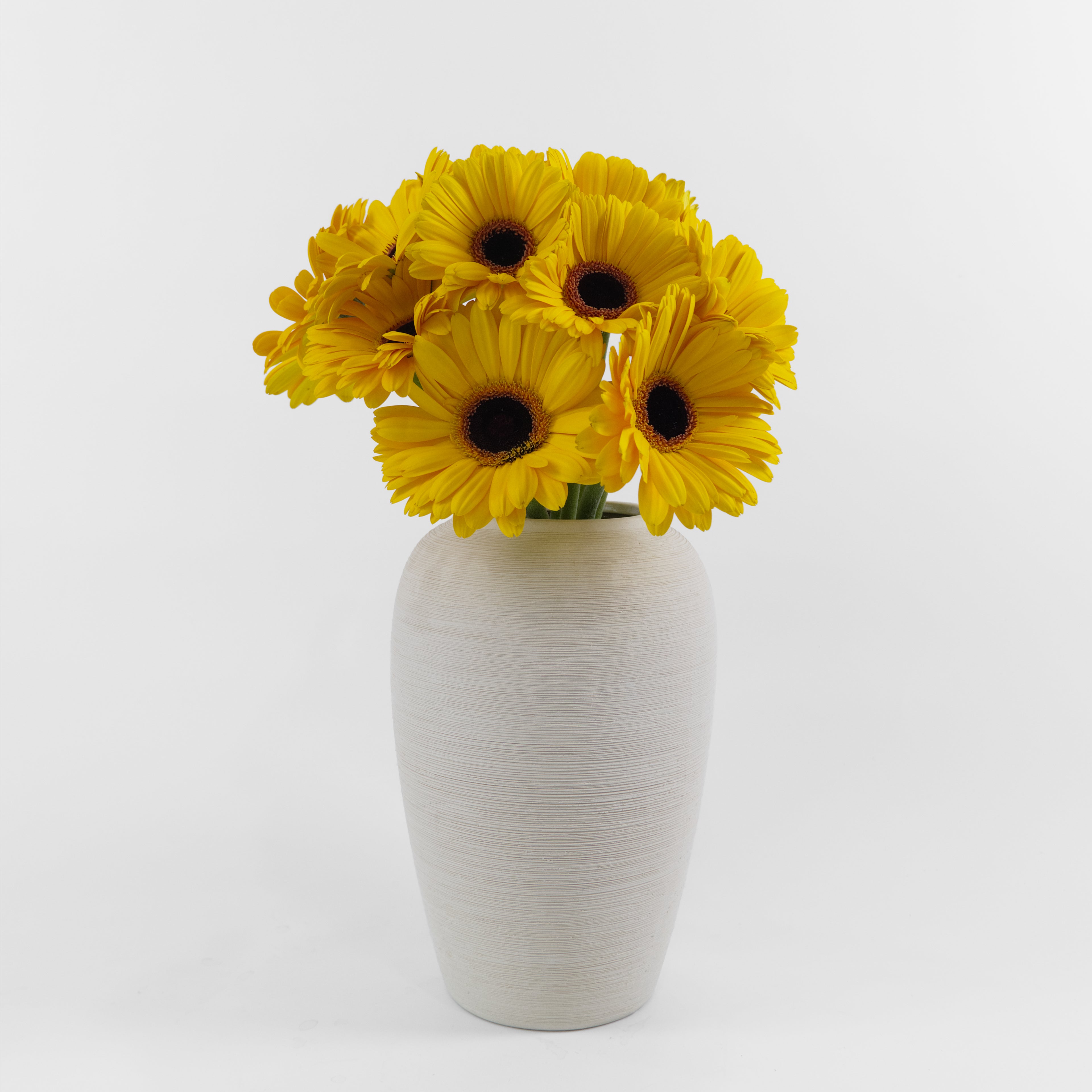 Bundles of wholesale Gerbera Gold flowers kept in clean water containers inside a floral cold storage room in Kuala Lumpur.