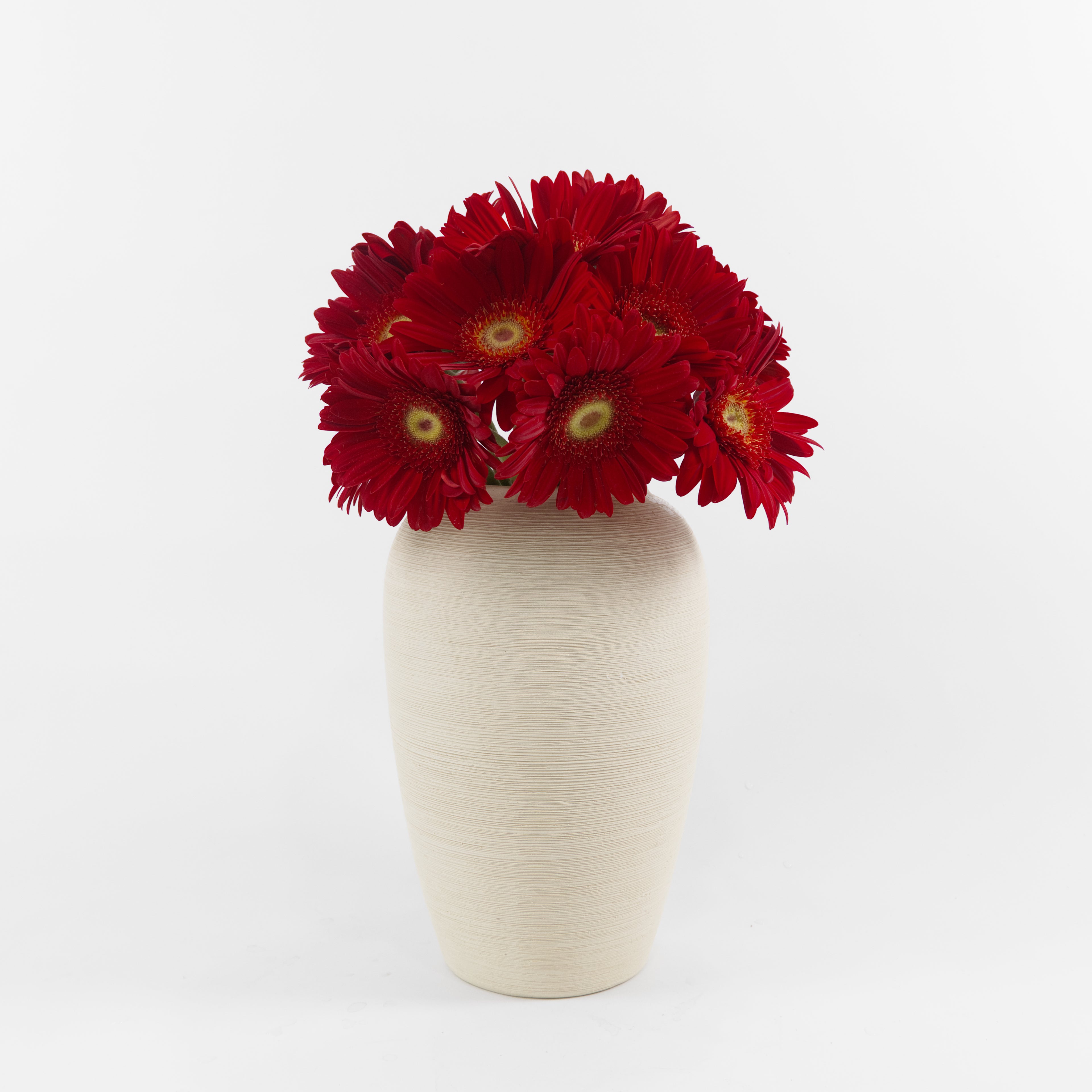 A wholesale bundle of ten fresh Gerbera Red Green Heart daisies with crimson petals and green centers, packaged for delivery in Malaysia.