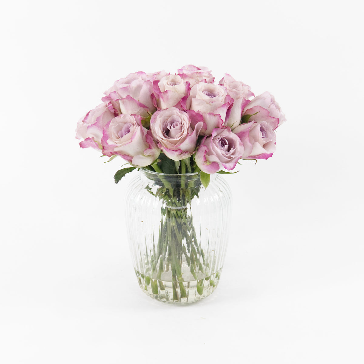 Rose - Charisma China