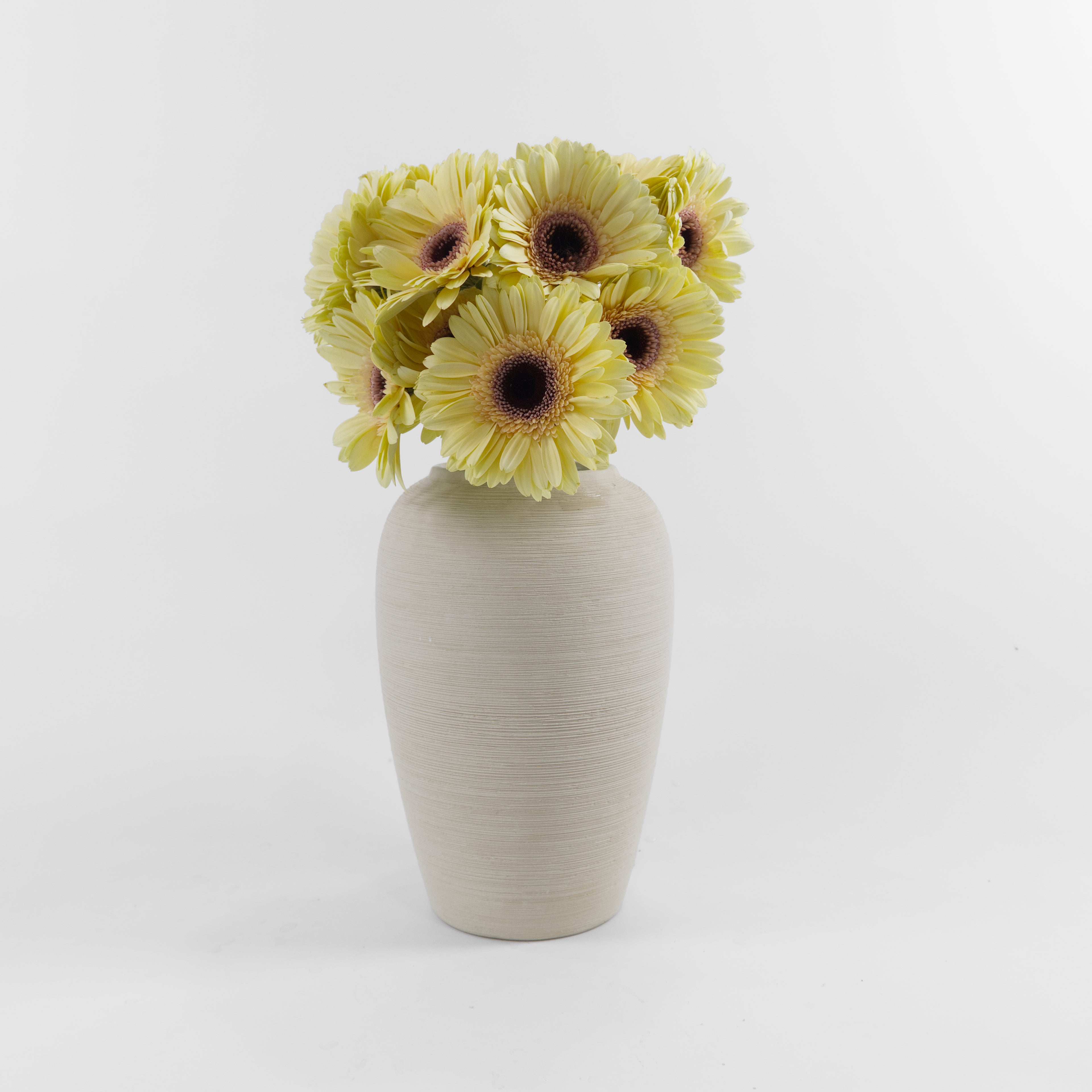 Bundles of wholesale Gerbera Champagne flowers kept in clean water containers inside a floral cold storage room in Kuala Lumpur.