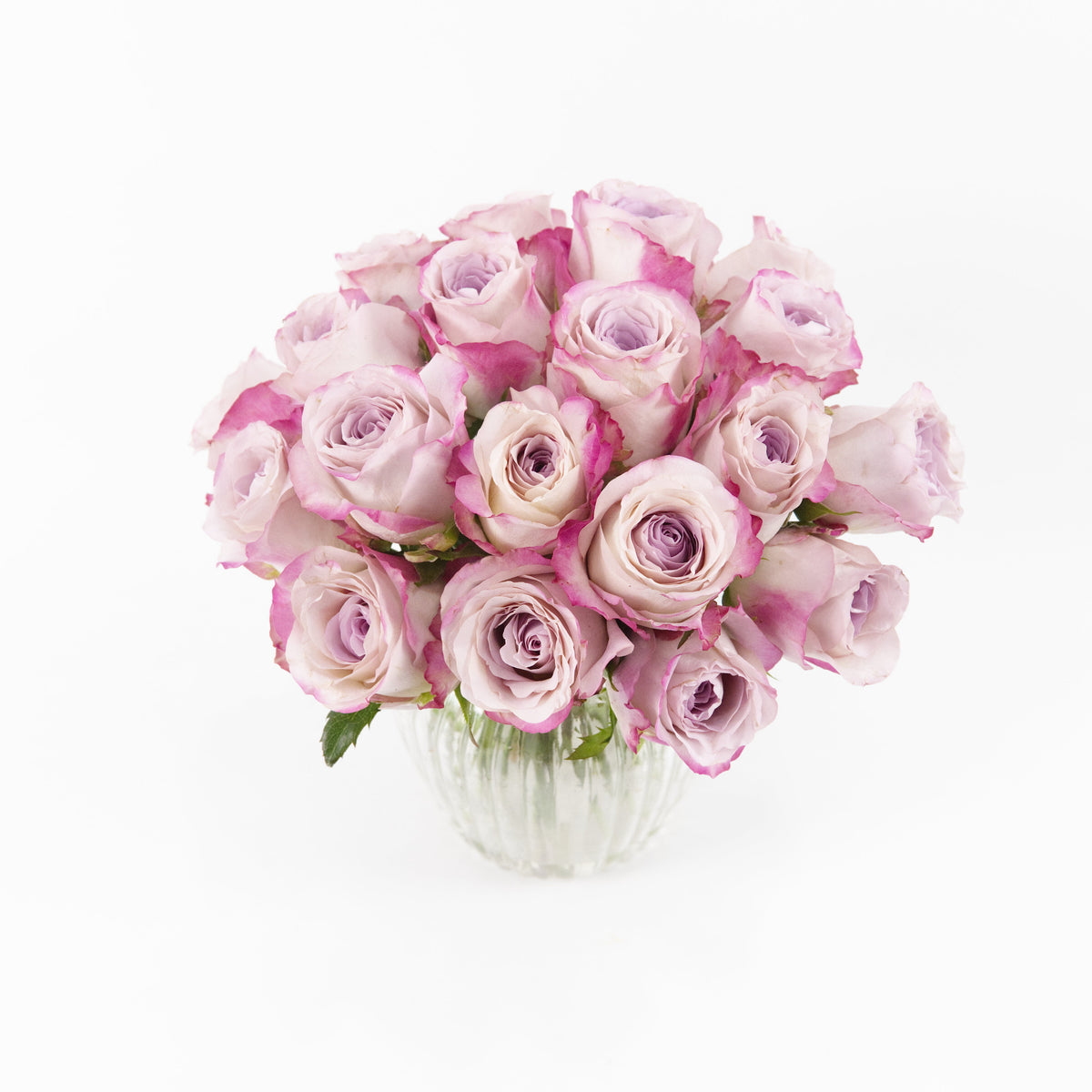 Rose - Charisma China