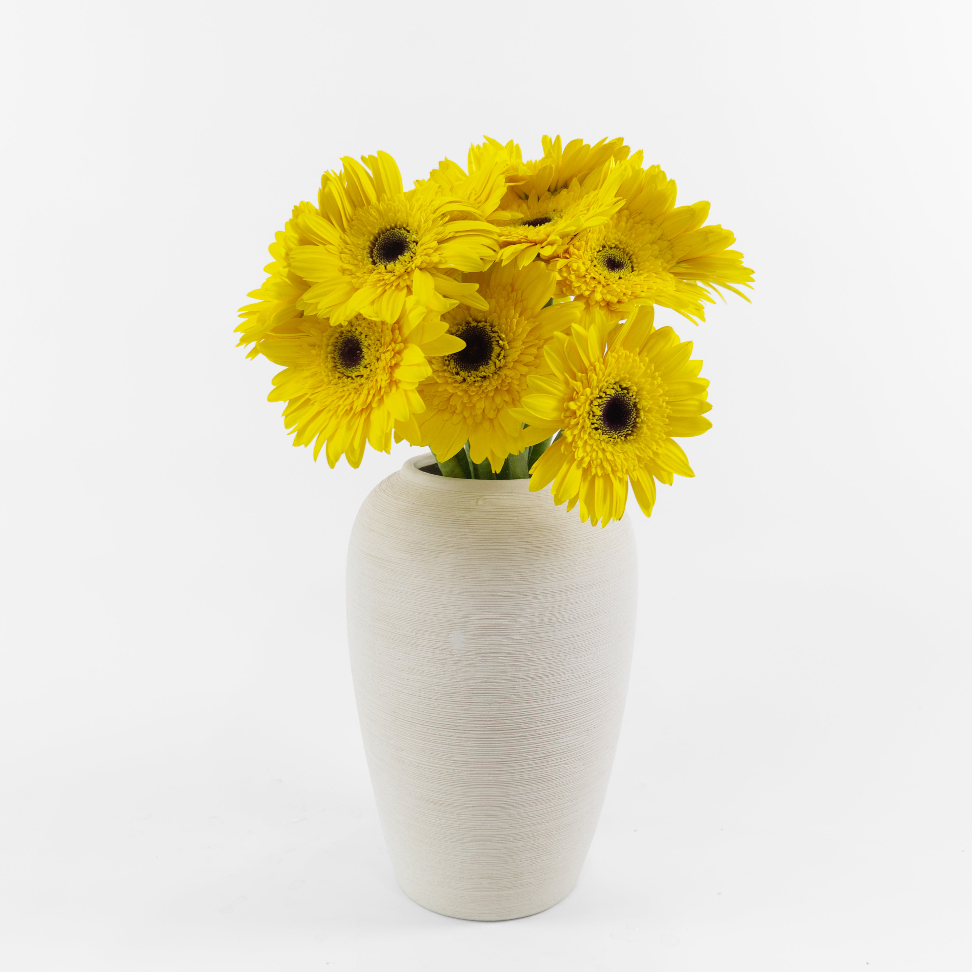 A wholesale bundle of ten fresh Gerbera New Yellow daisies with bright yellow petals, wrapped and ready for distribution in Malaysia.