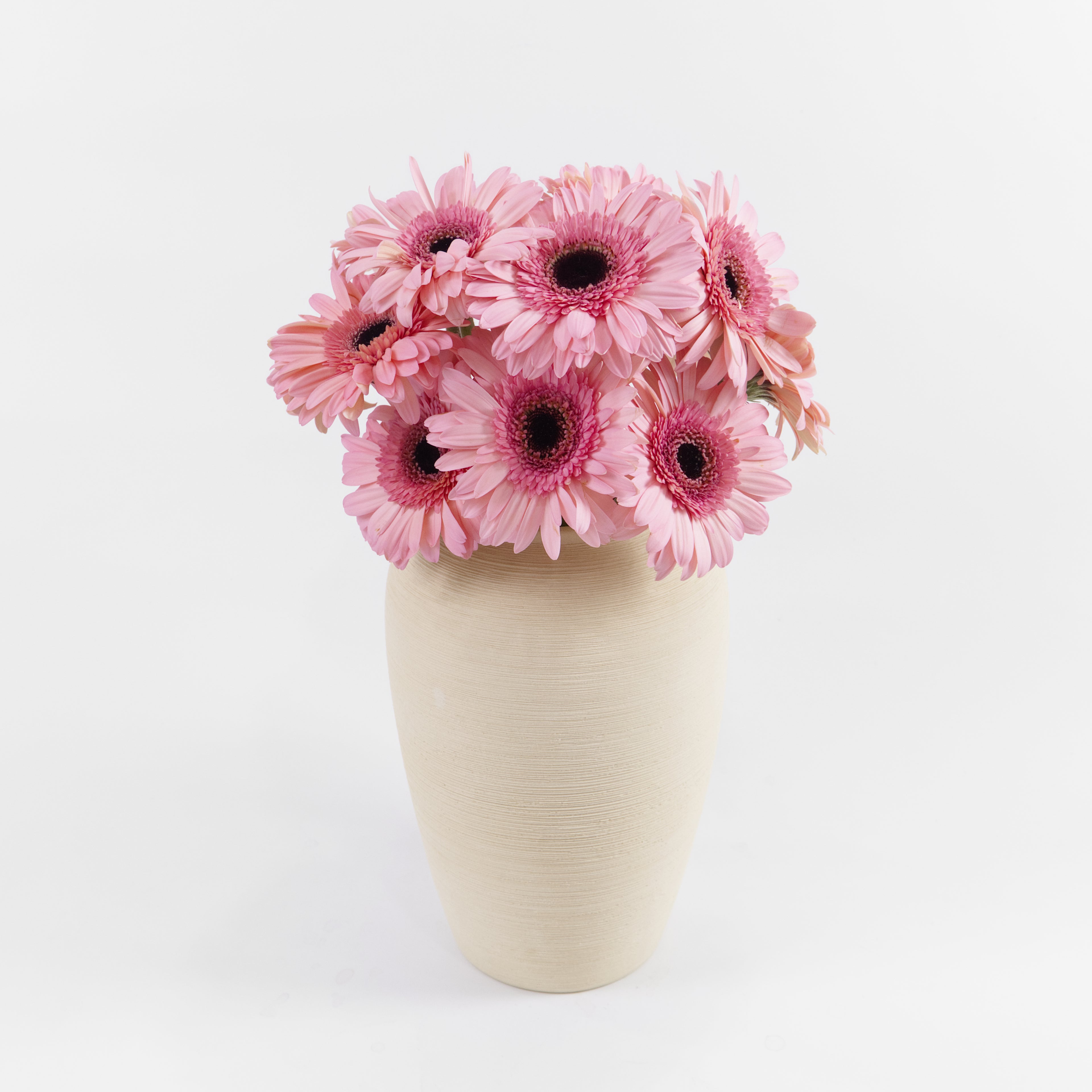A wholesale bundle of ten fresh light pink gerbera daisies wrapped in protective paper, prepared for delivery in Malaysia.