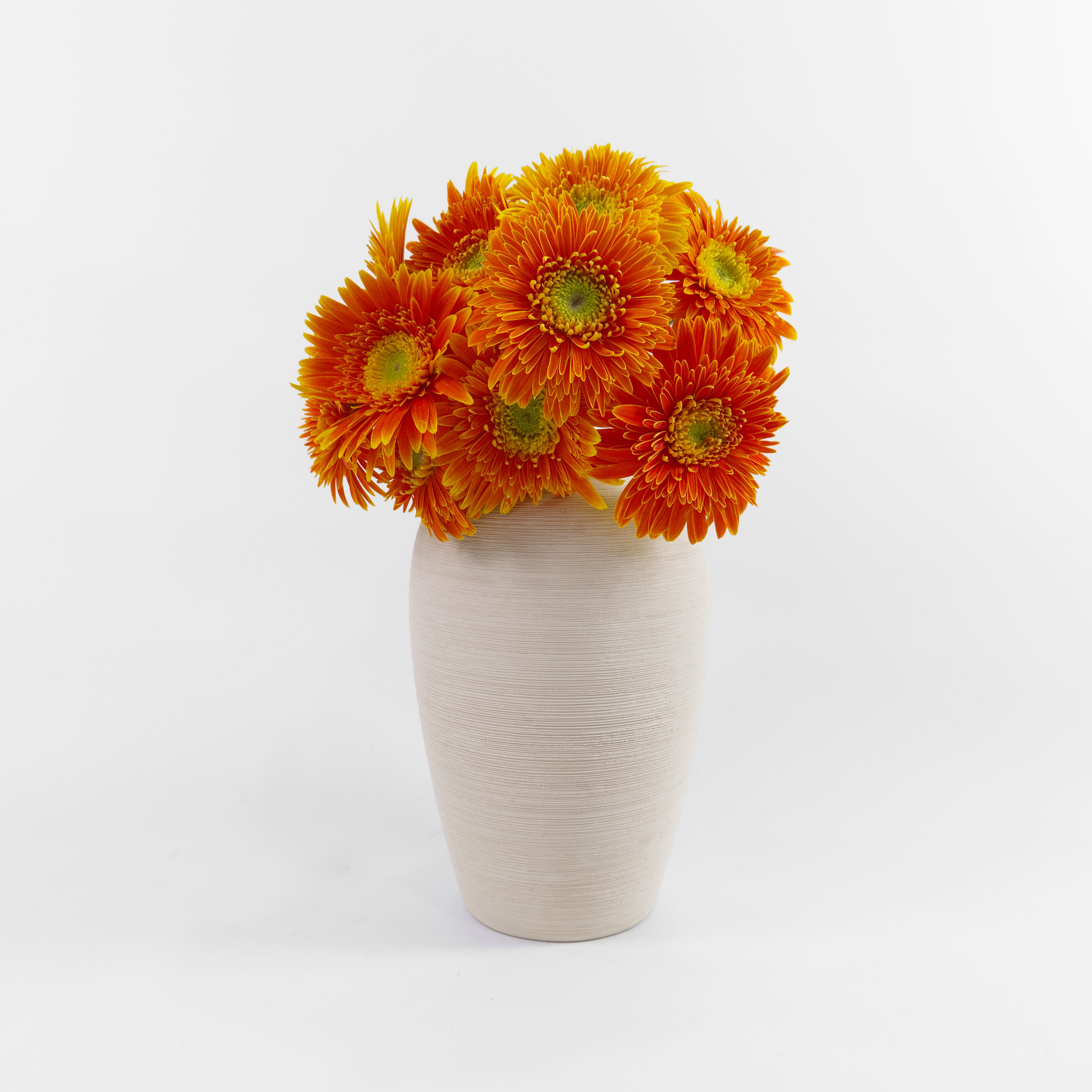 Bundles of wholesale Gerbera New Orange flowers stored in water containers inside a floral cold storage room in Kuala Lumpur before dispatch.