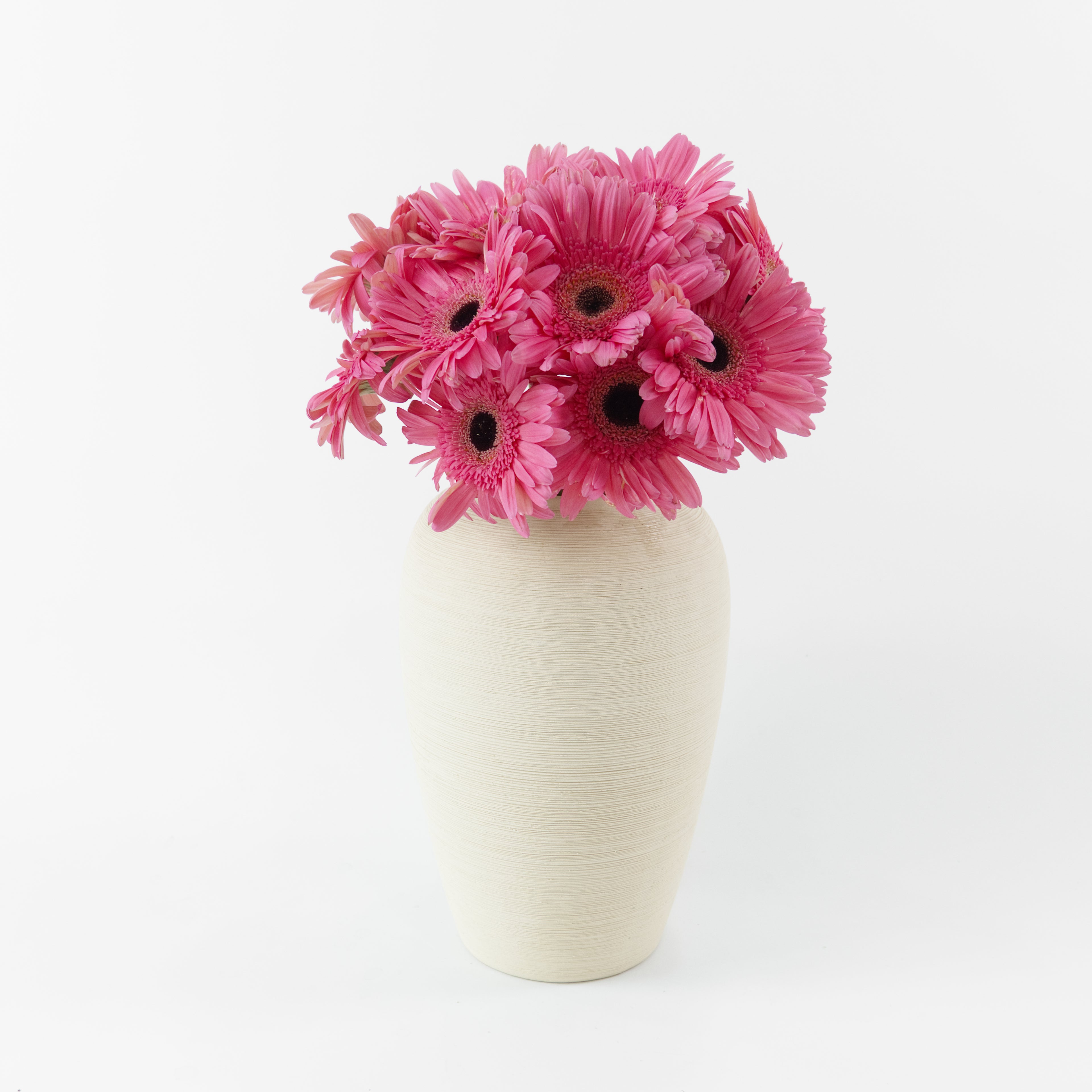 Bundles of wholesale shocking pink gerberas kept in clean water containers inside a floral cold storage room in Kuala Lumpur.