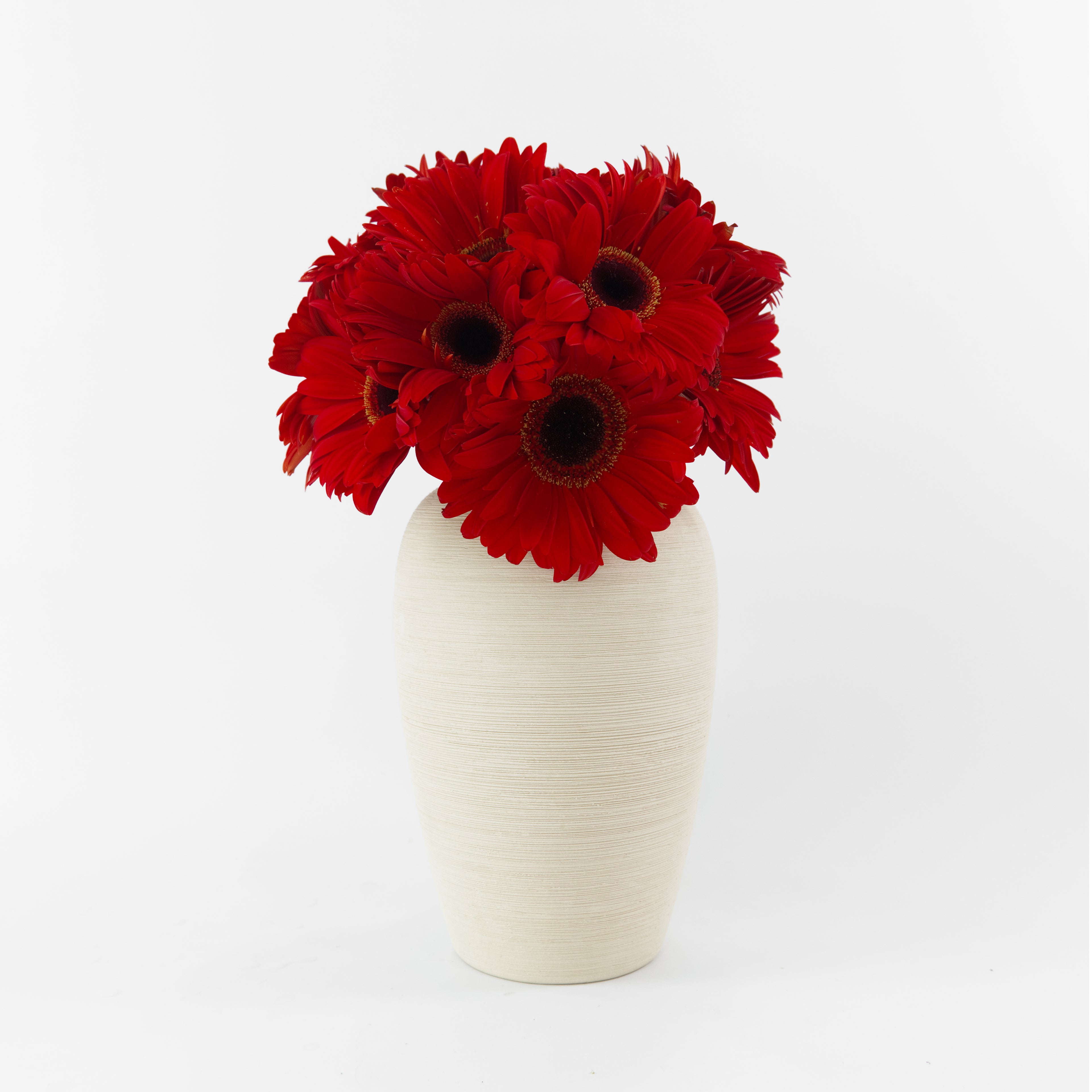 Bundles of wholesale red gerberas kept in clean water containers inside a floral cold storage room in Kuala Lumpur.