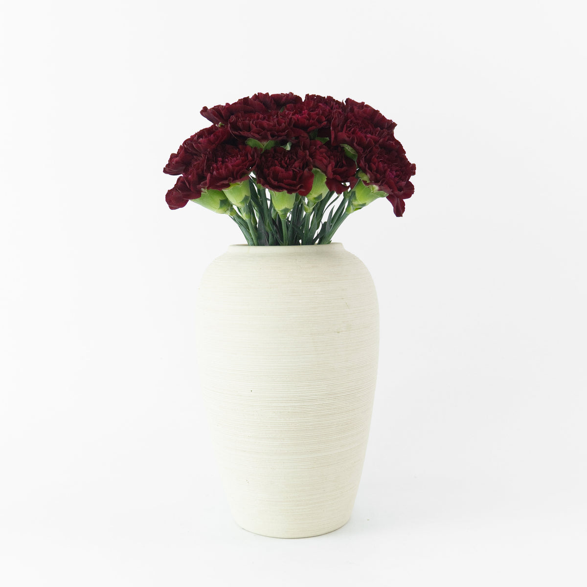Carnation - Maroon Malaysia
