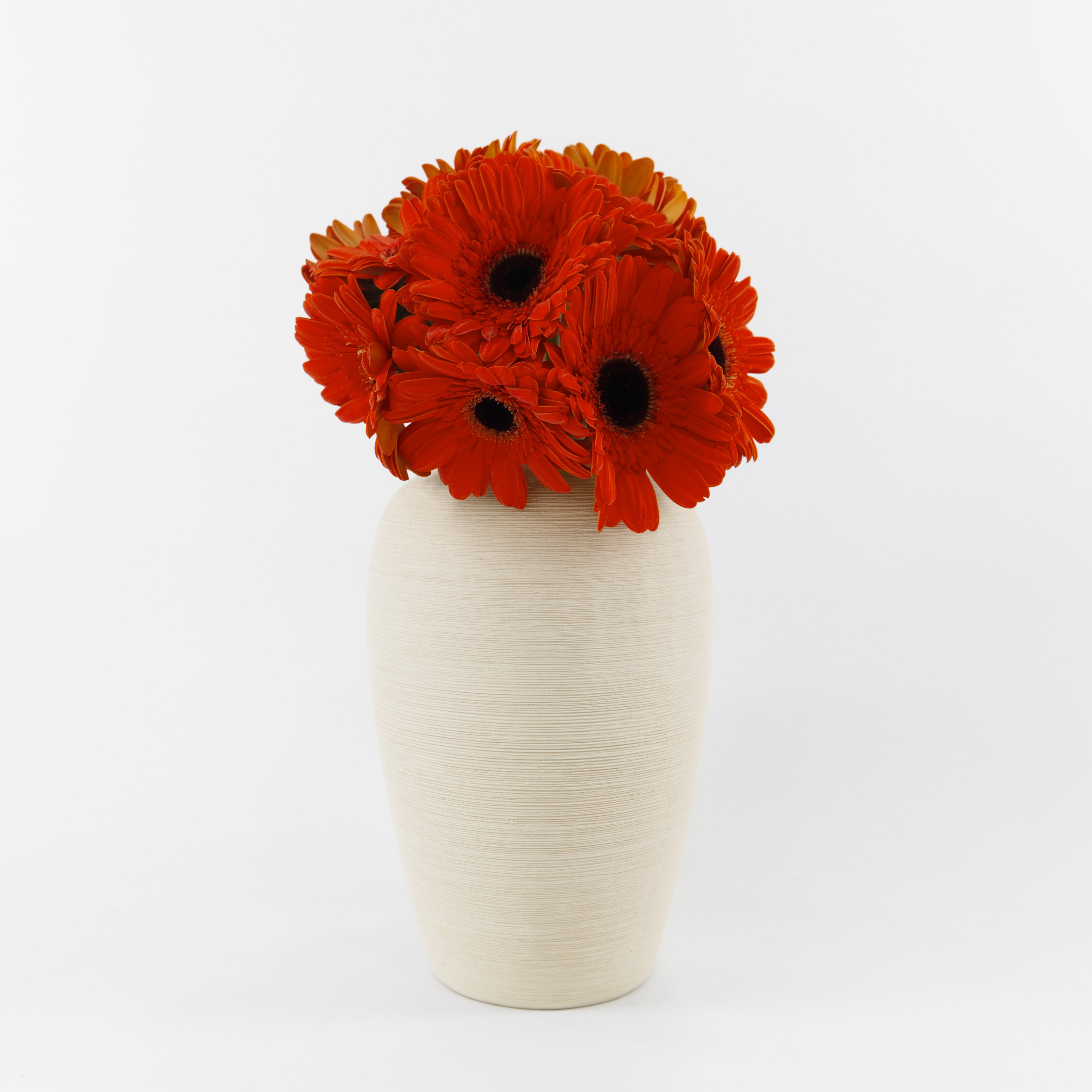 A bouquet of bright orange-red gerbera daisies with dark centers arranged in a textured off-white ceramic vase against a plain white background.