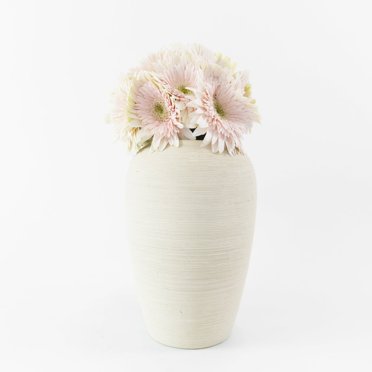 Gerbera - Milky PInk Malaysia