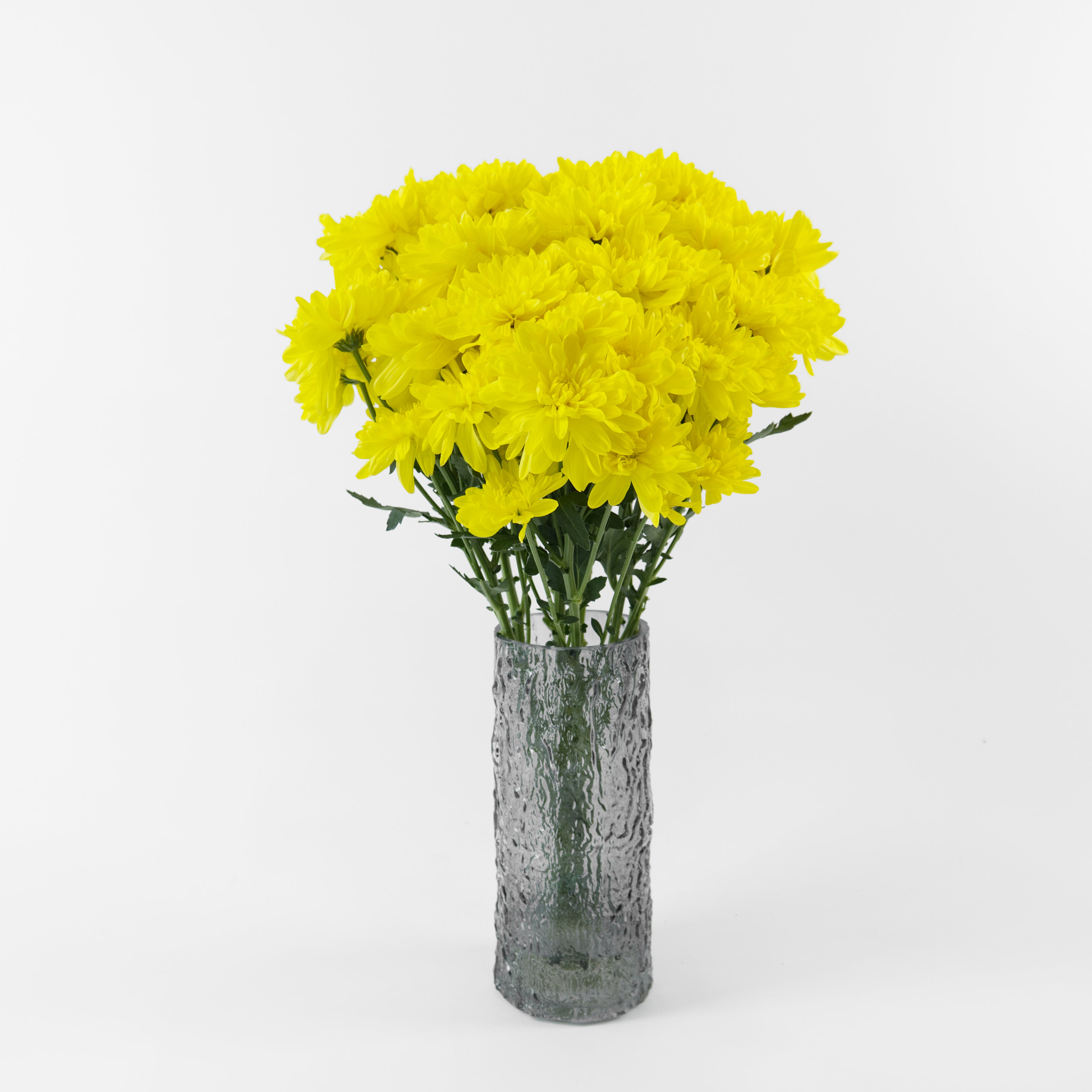 Bundles of wholesale yellow spray chrysanthemums kept in clean water containers inside a floral cold storage room in Kuala Lumpur.