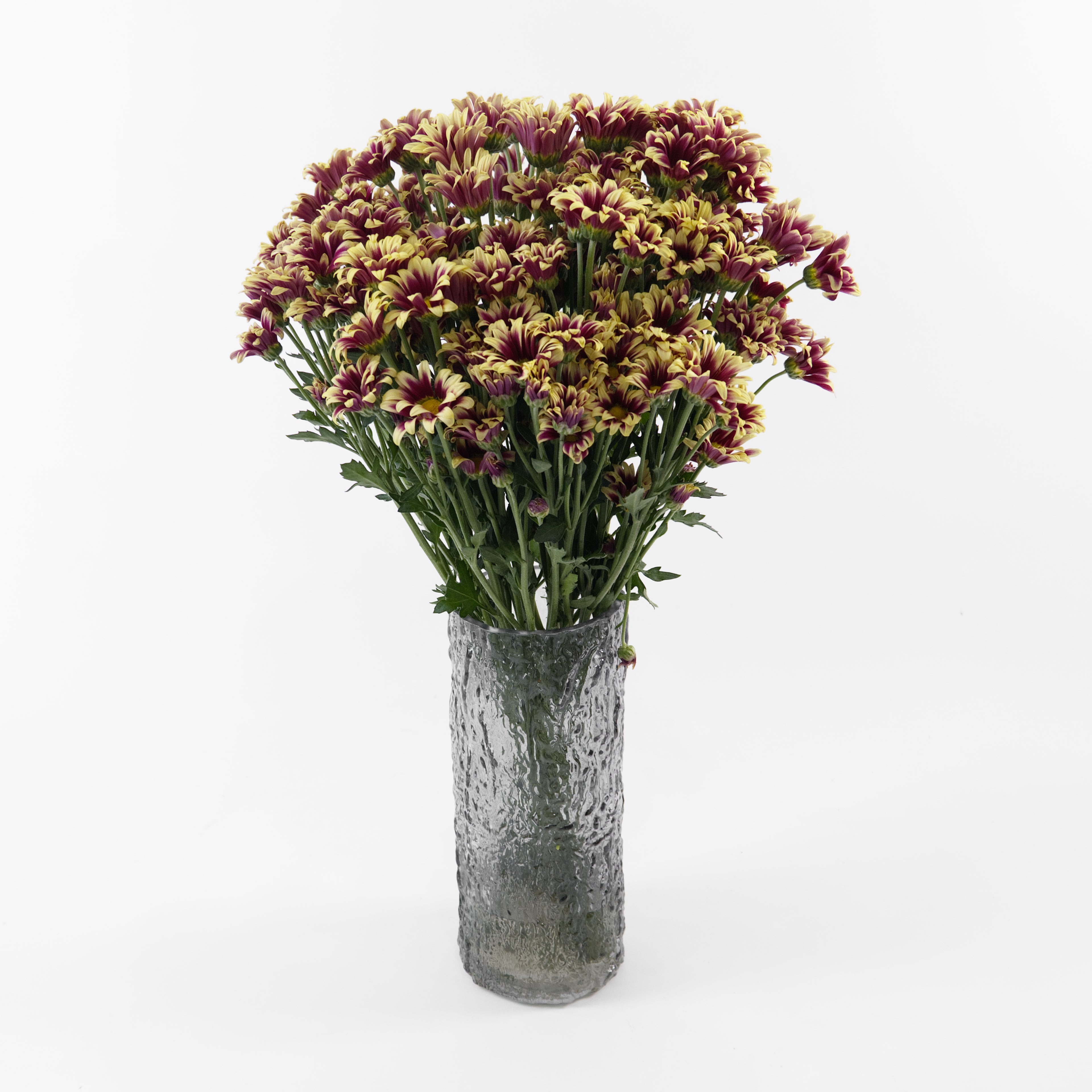 Bundles of wholesale red-yellow spray chrysanthemums stored in deep water buckets inside a floral cold room in Kuala Lumpur.