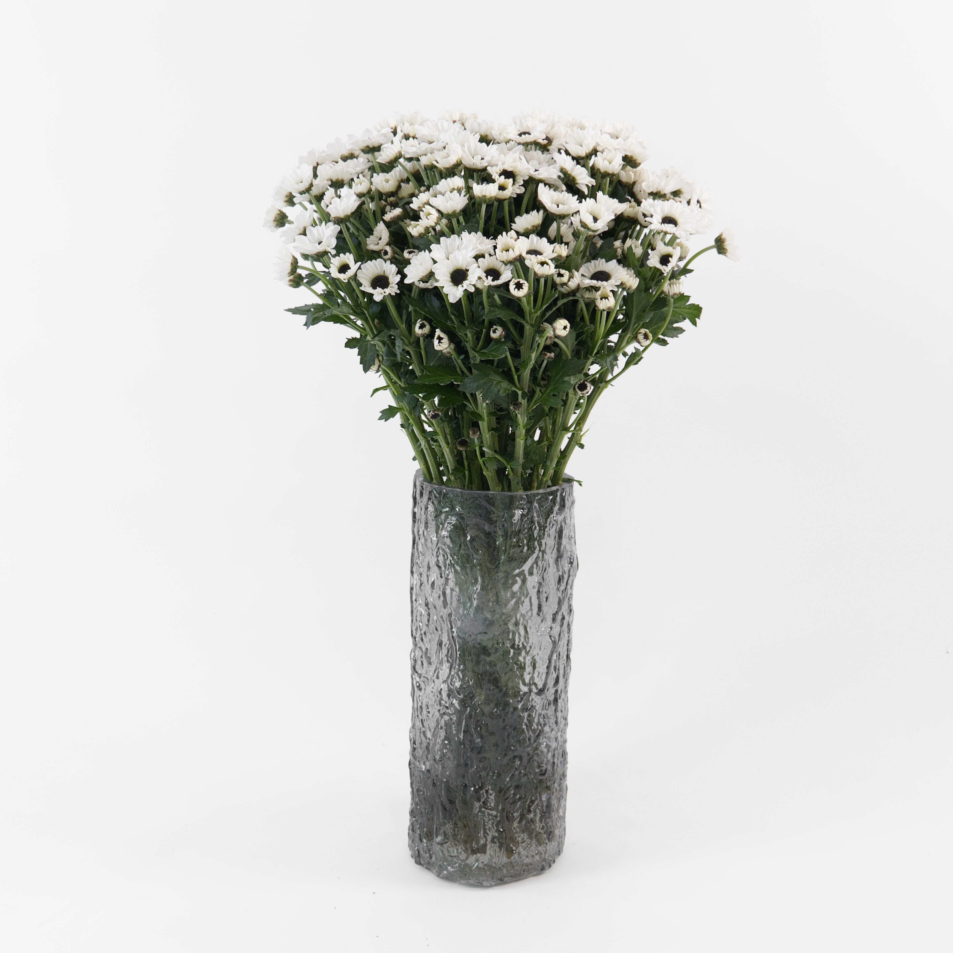 Bundles of wholesale white Santini miniature chrysanthemums kept in clean water containers inside a floral cold storage room in Kuala Lumpur.