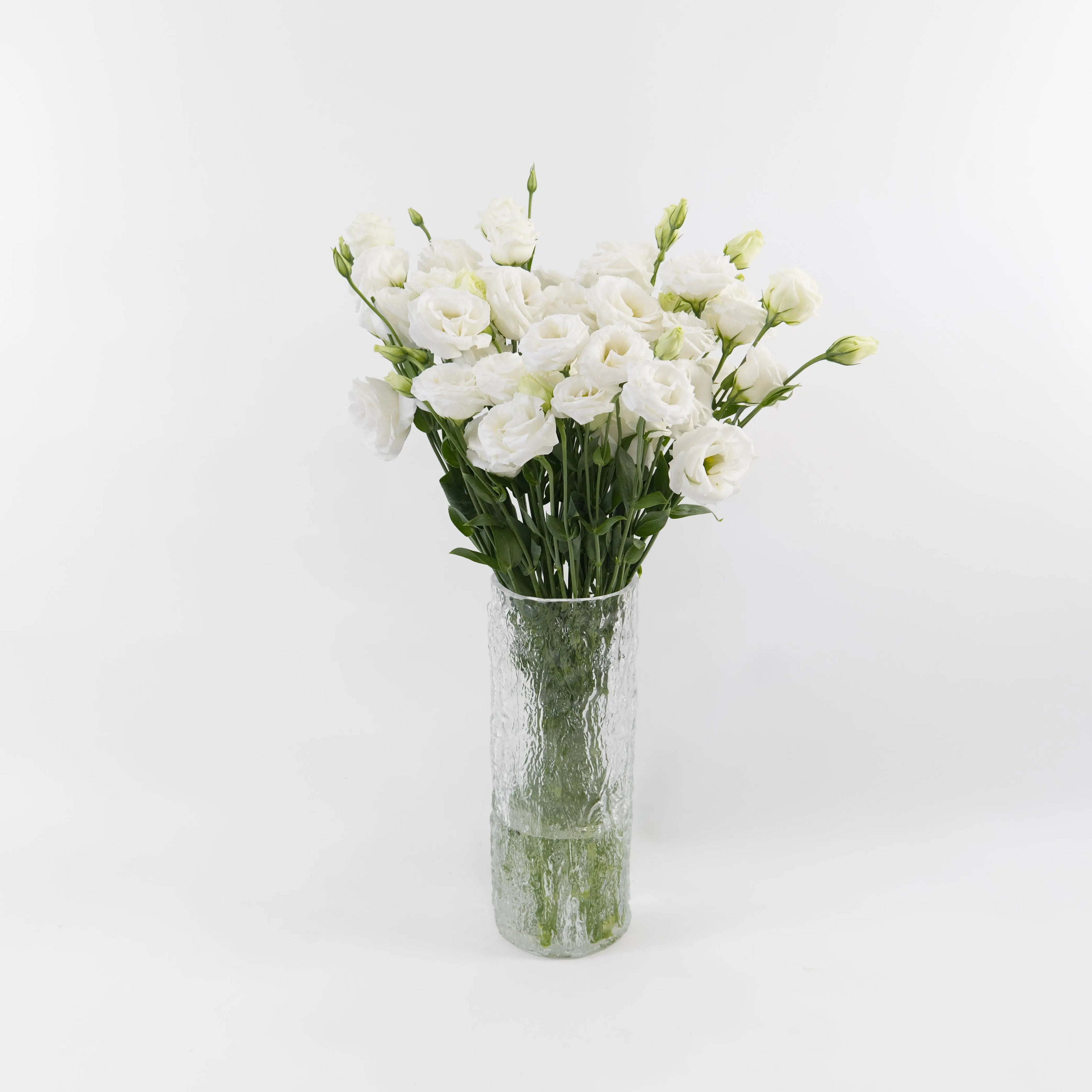Bundles of wholesale white Lisianthus flowers standing in clean water containers inside a floral cold storage facility in Kuala Lumpur.