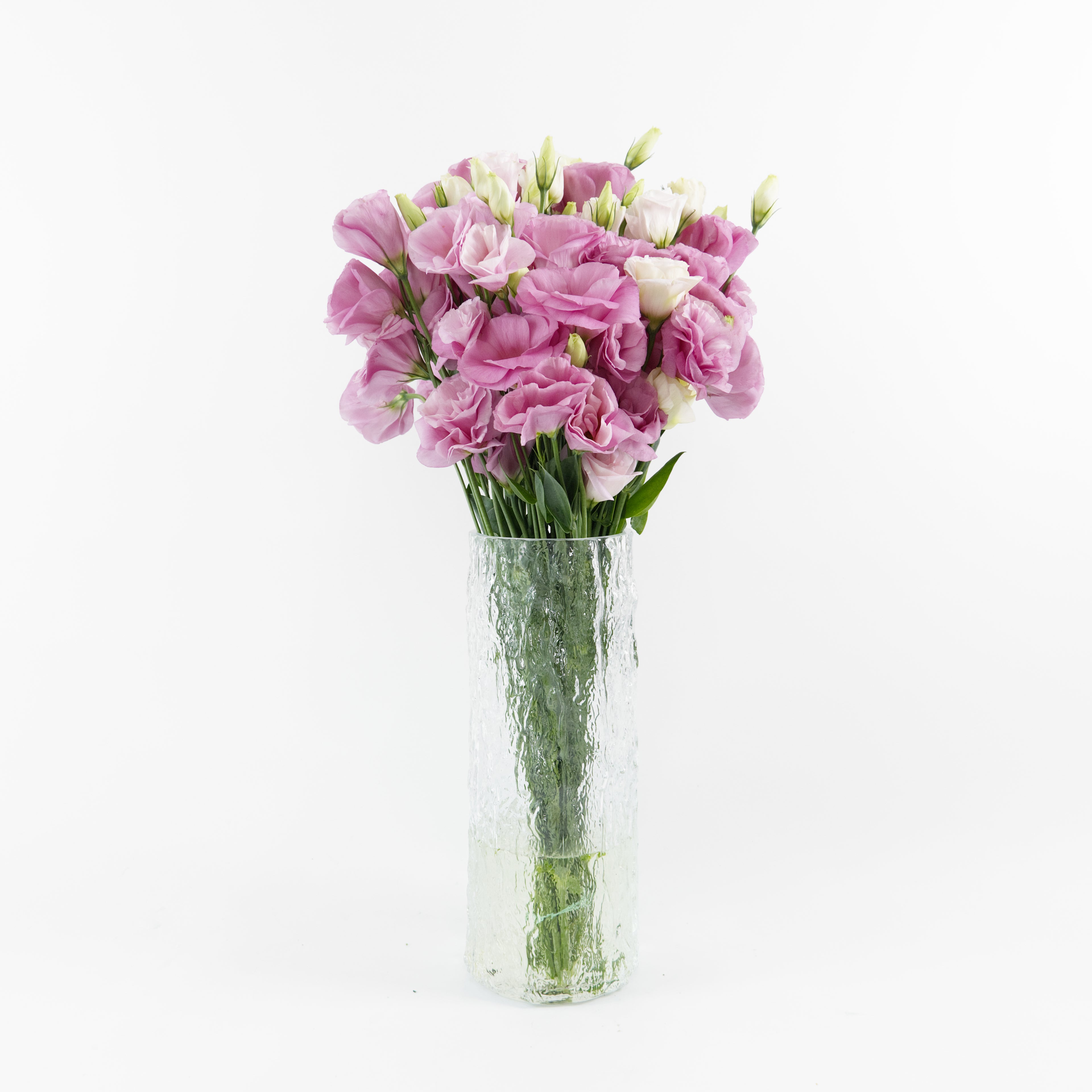 Bundles of wholesale pink Lisianthus flowers standing in clean water containers inside a floral cold storage facility in Kuala Lumpur.